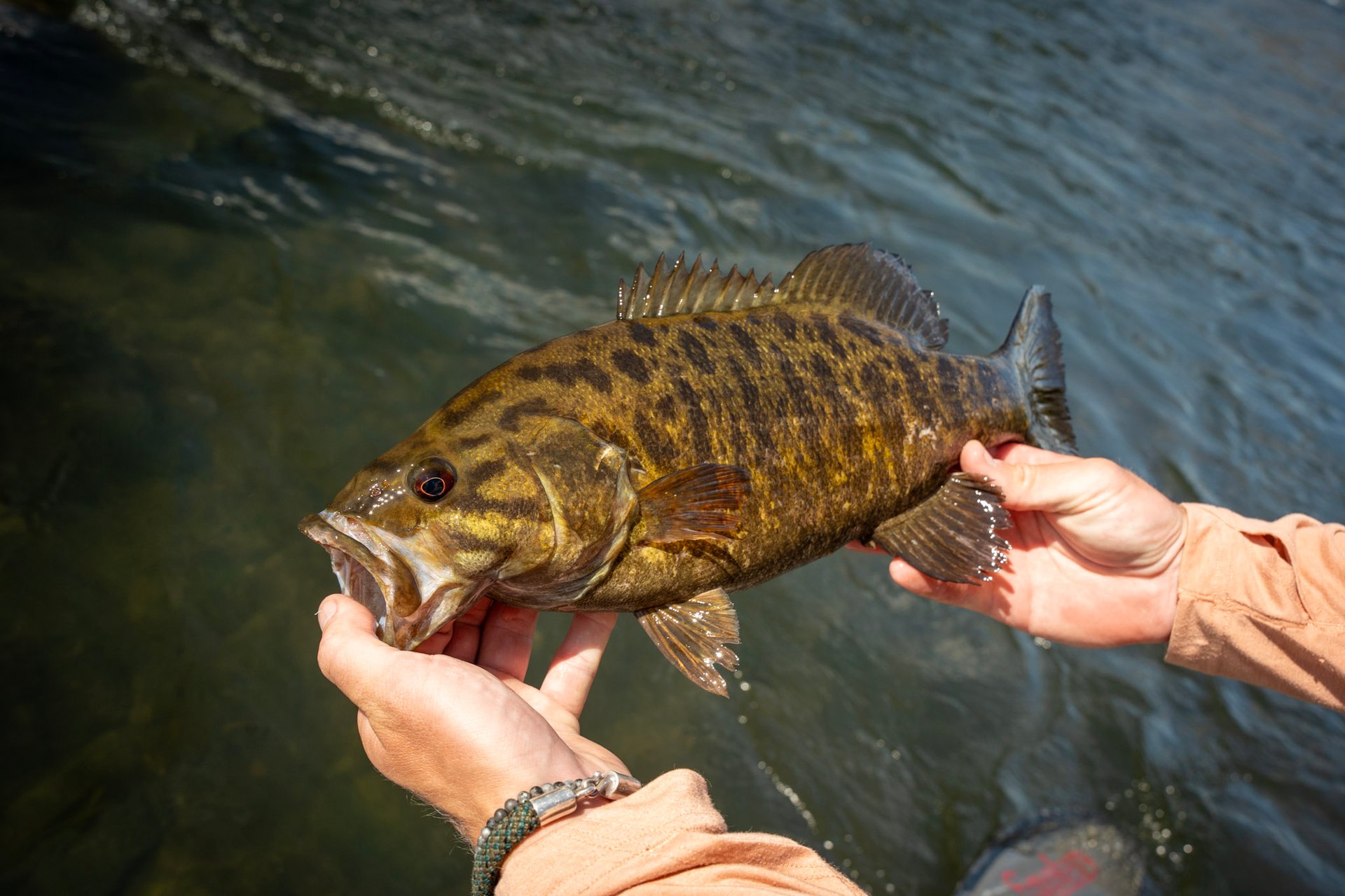 Catch and Release