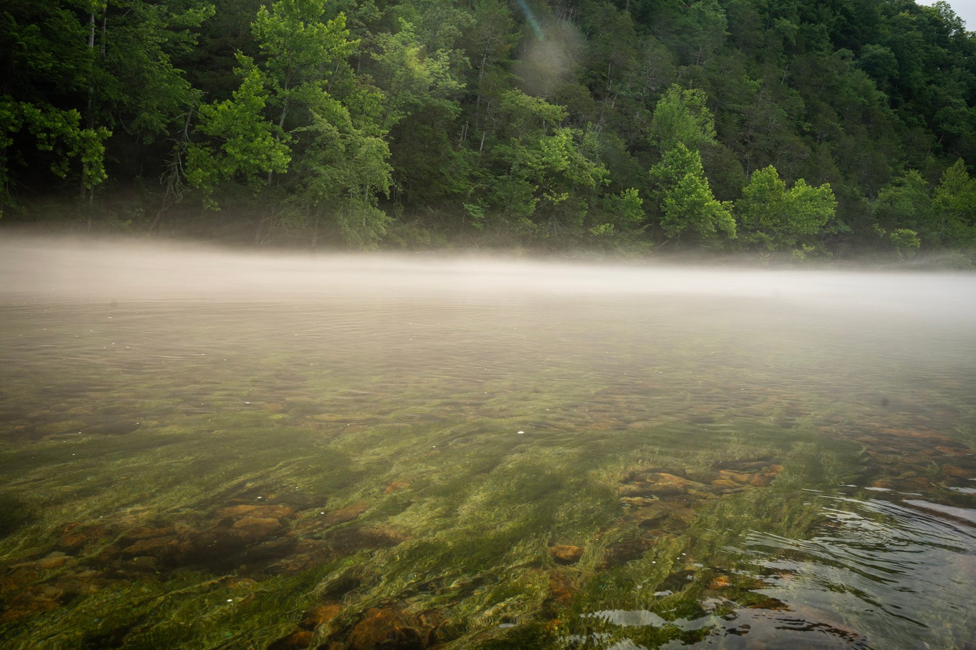 Early Morning Fog on the South Holston River