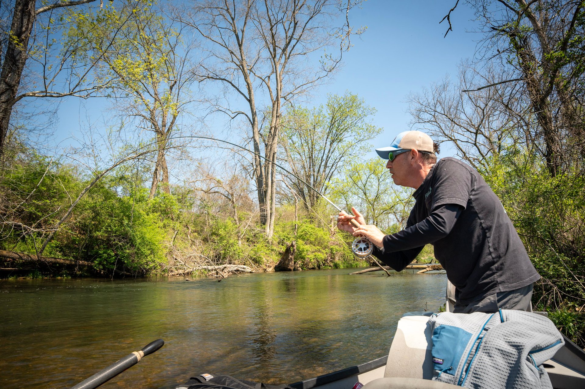 Brown Trout Tennessee