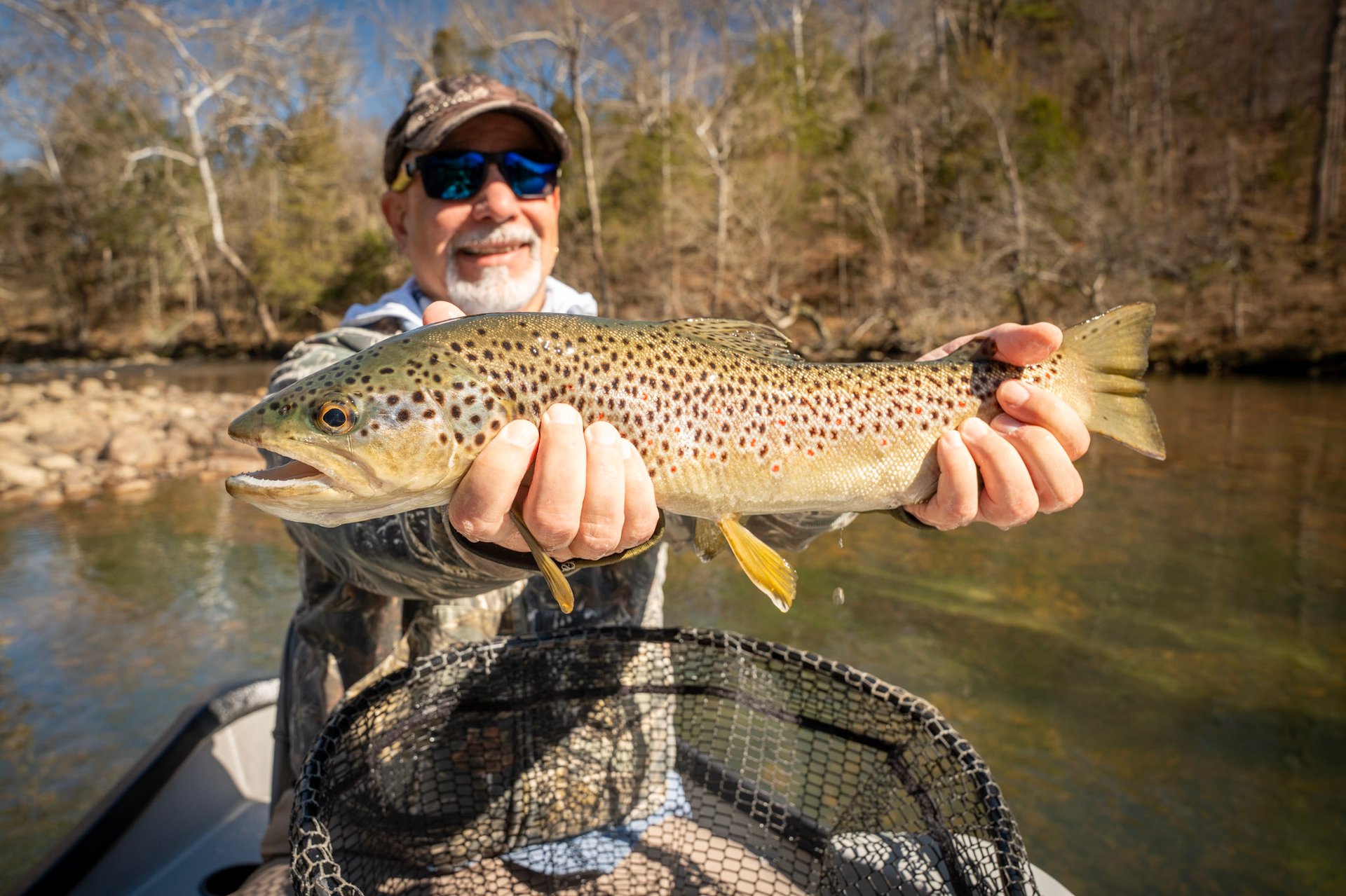 trophy brown trout on the South Holston River in Tennessee 