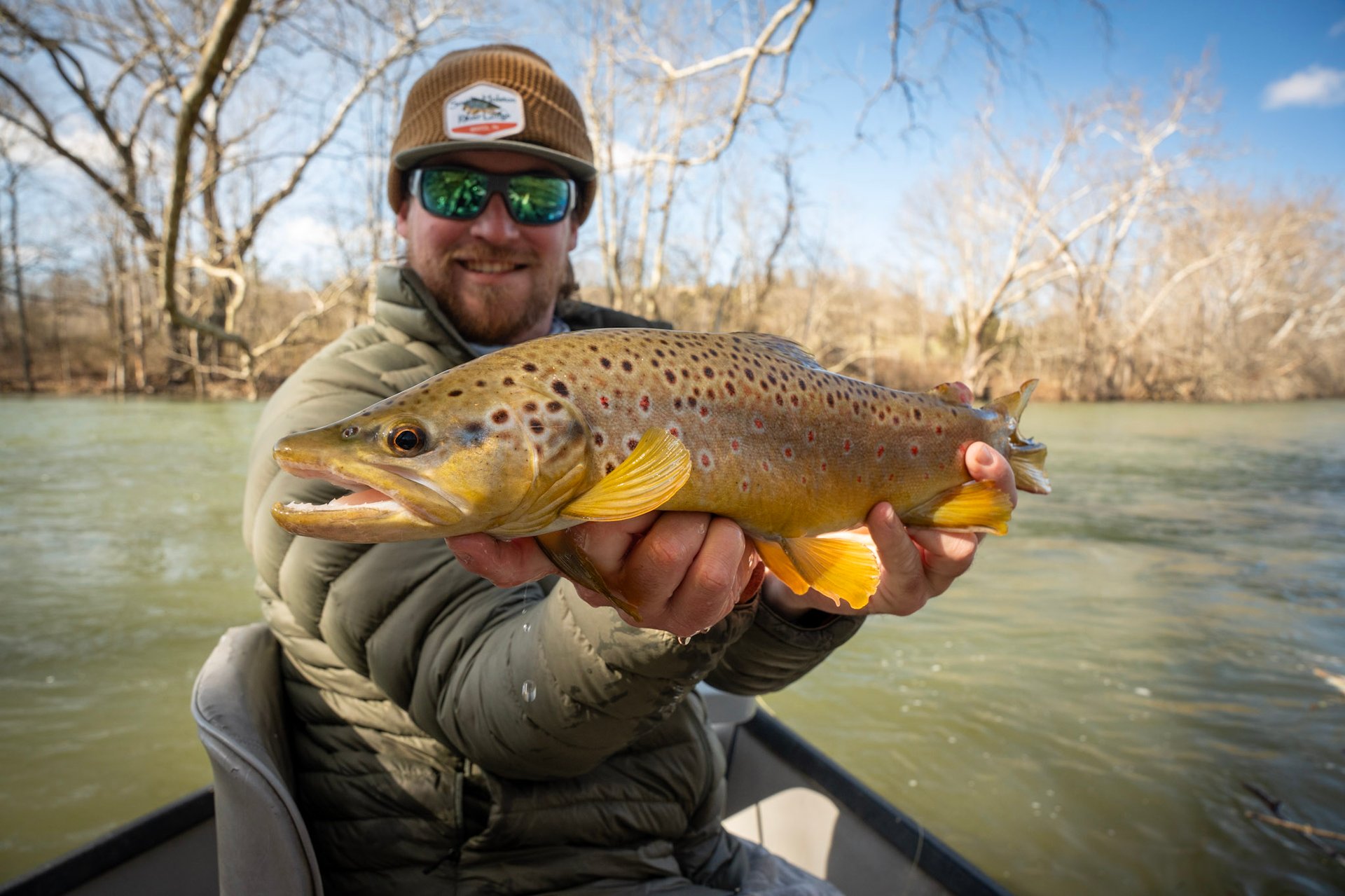 February Brown trout on the South Holston