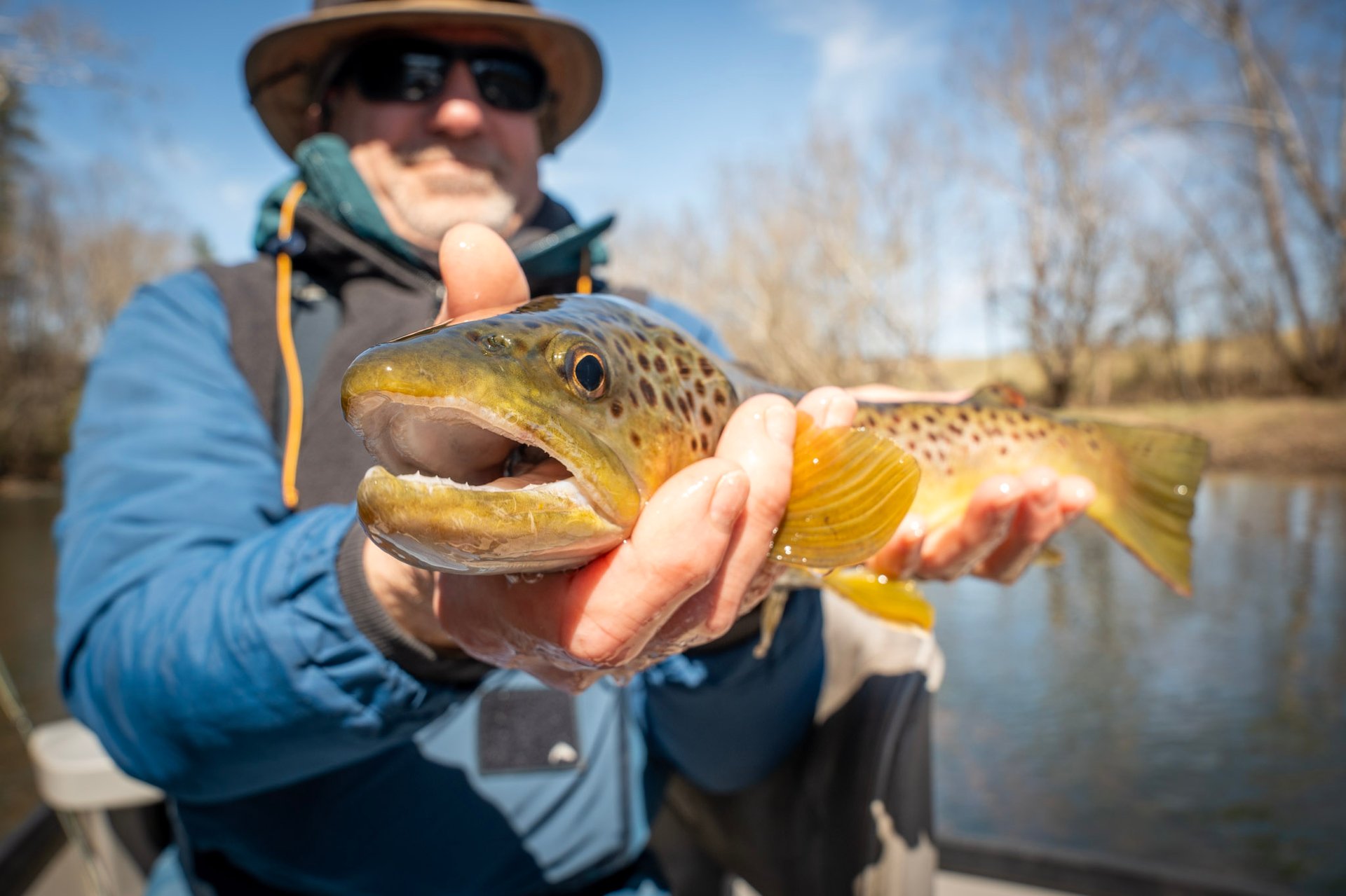Fly Fishing the Watauga River in March 2025