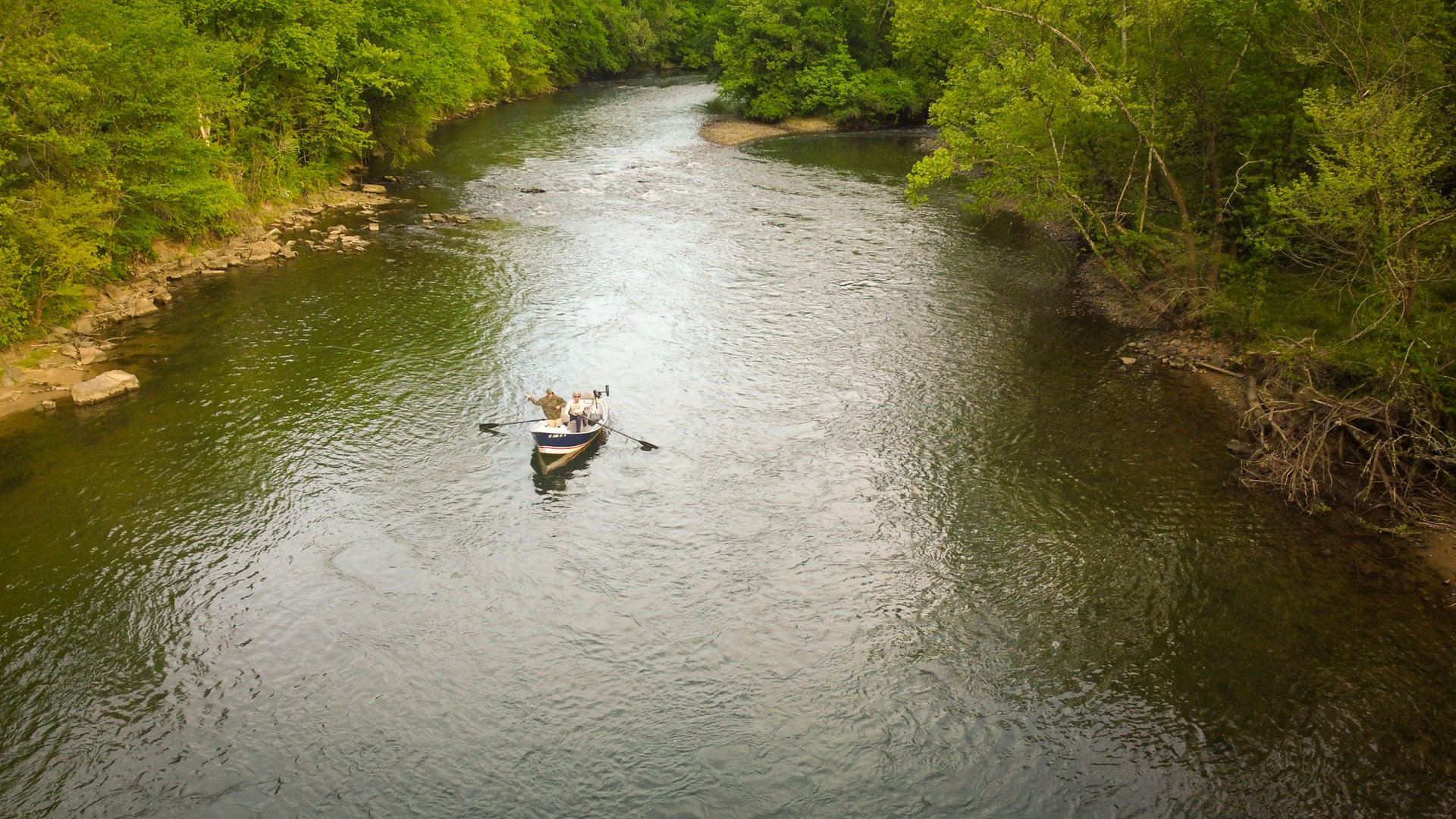 Guided Fly Fishing Trips Tennessee: South Holston Angler