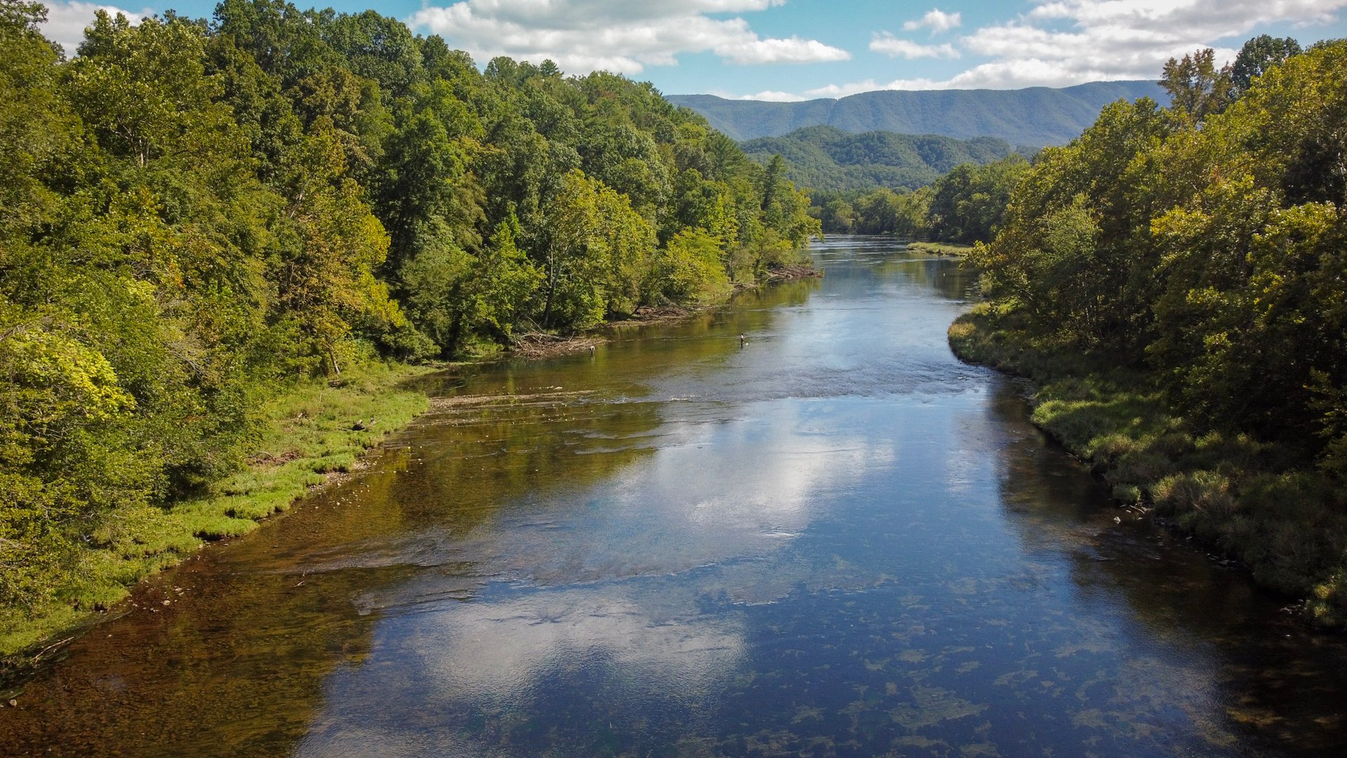 The upper South Holston River in the summer.