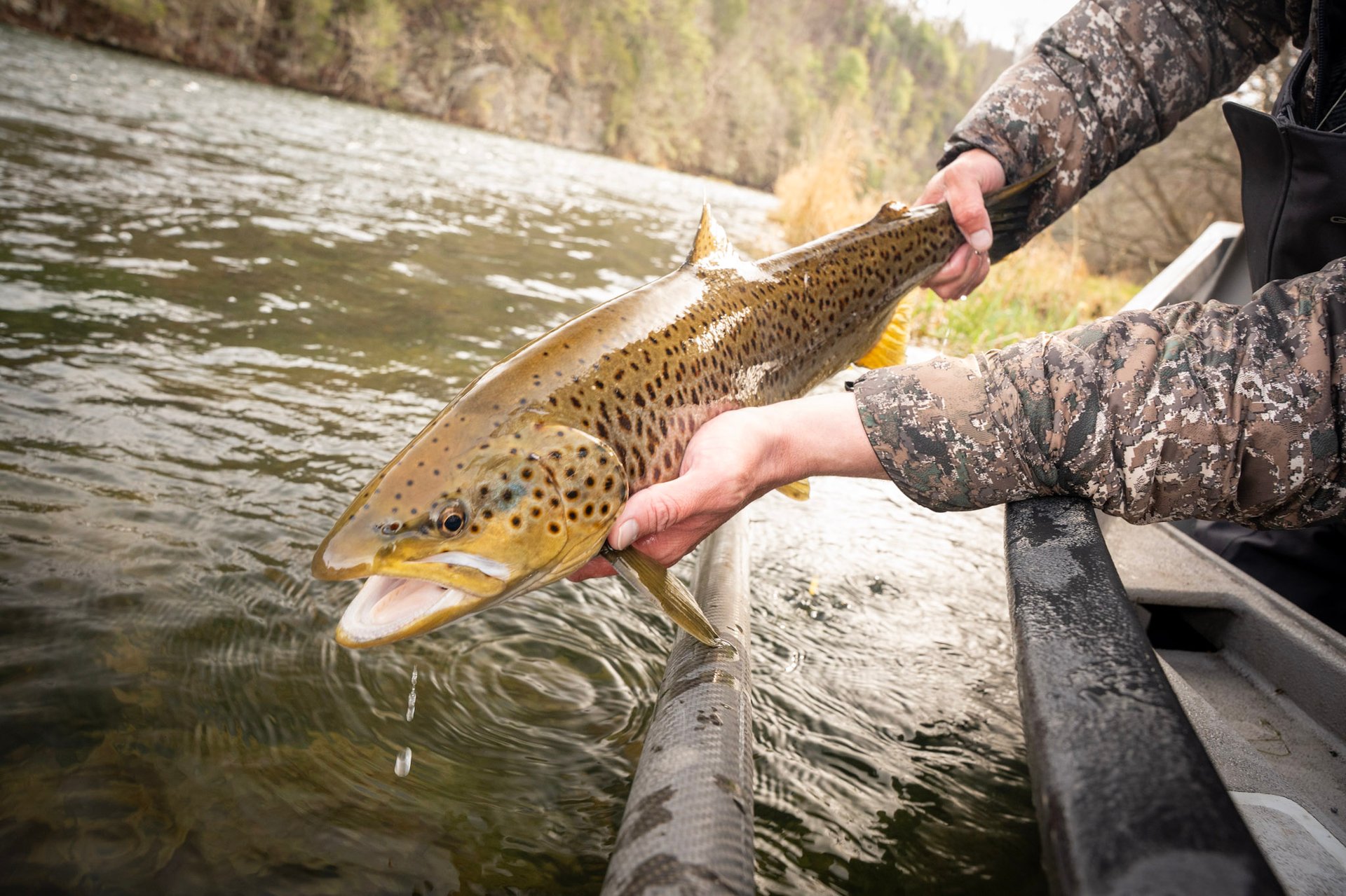 Head guide John Stunkard stands with Joe as they capture a new personal best brown trout.
