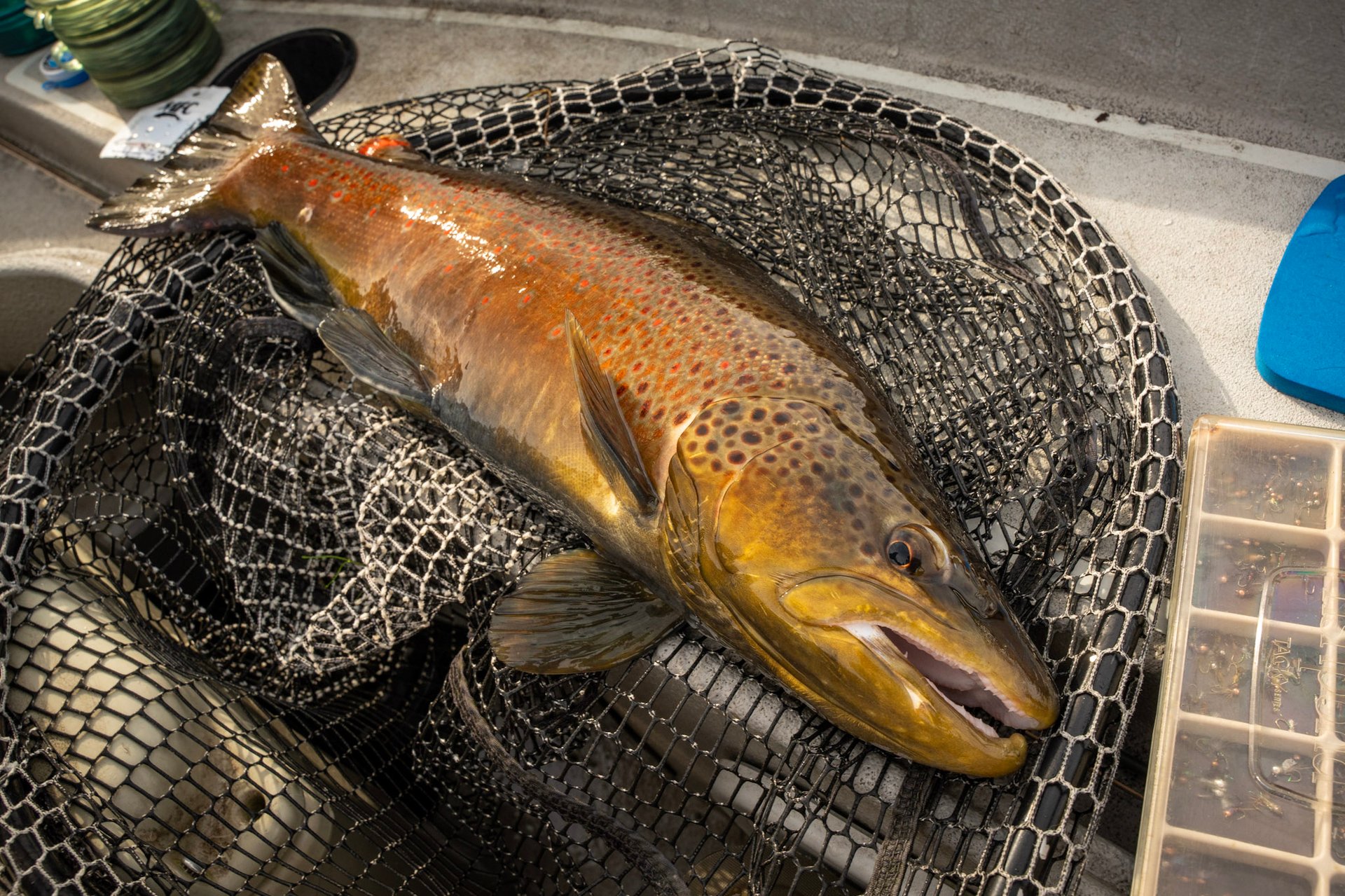 Head guide John Stunkard stands with Joe as they capture a new personal best brown trout.