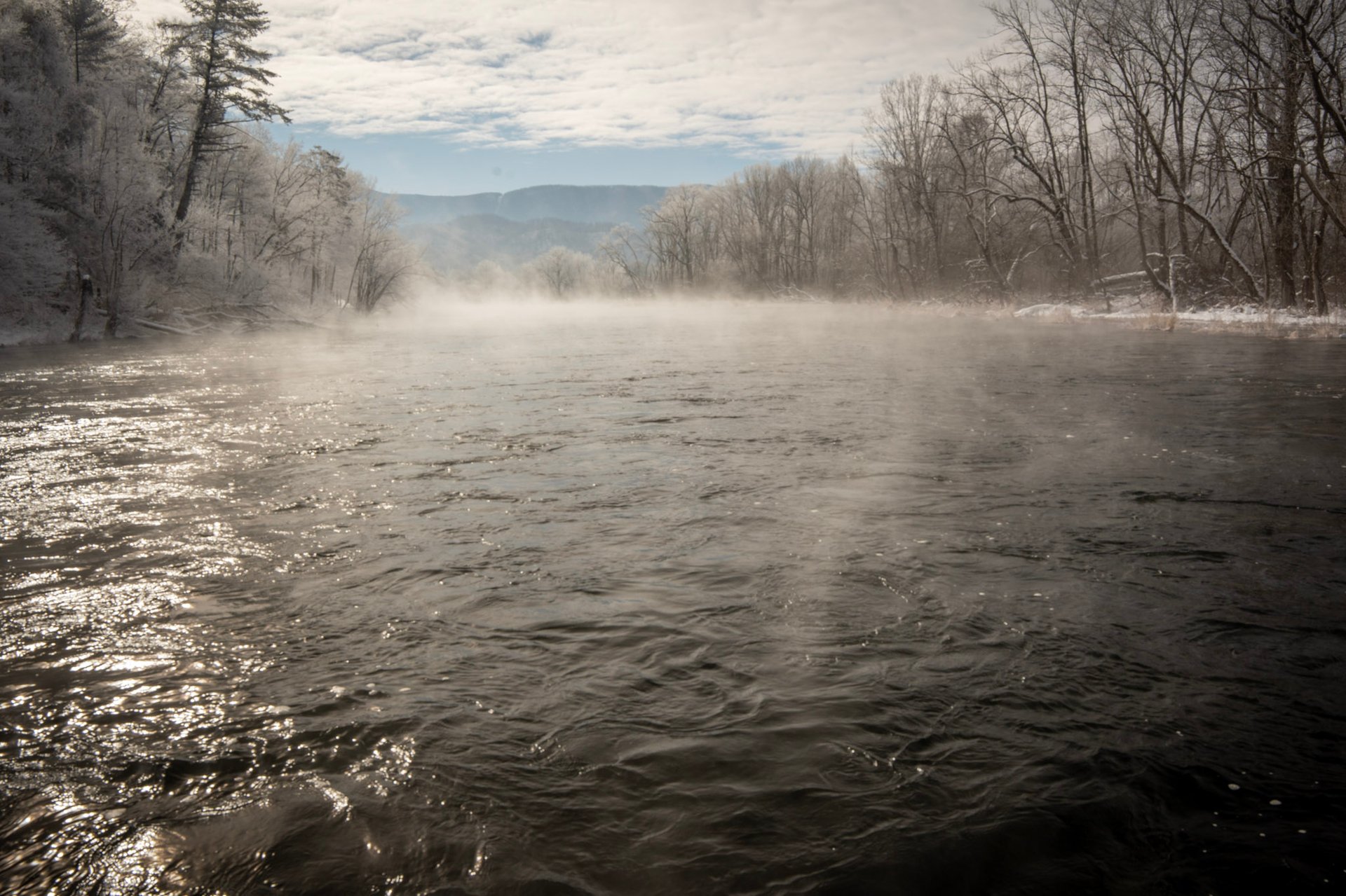 Winter Fly Fishing in East Tennessee: South Holston River