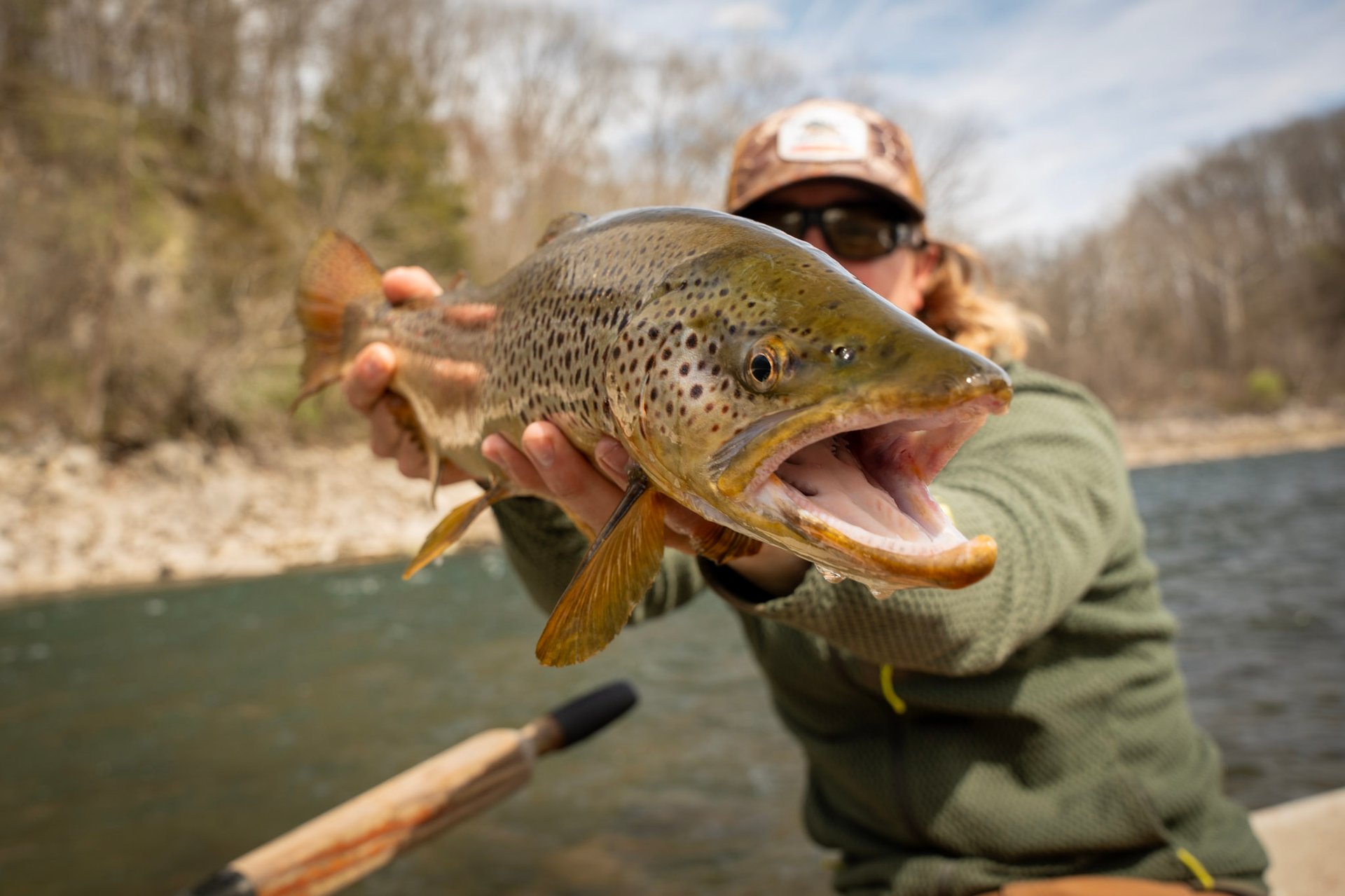 Huge Brown Trout on the South Holston River Tennessee