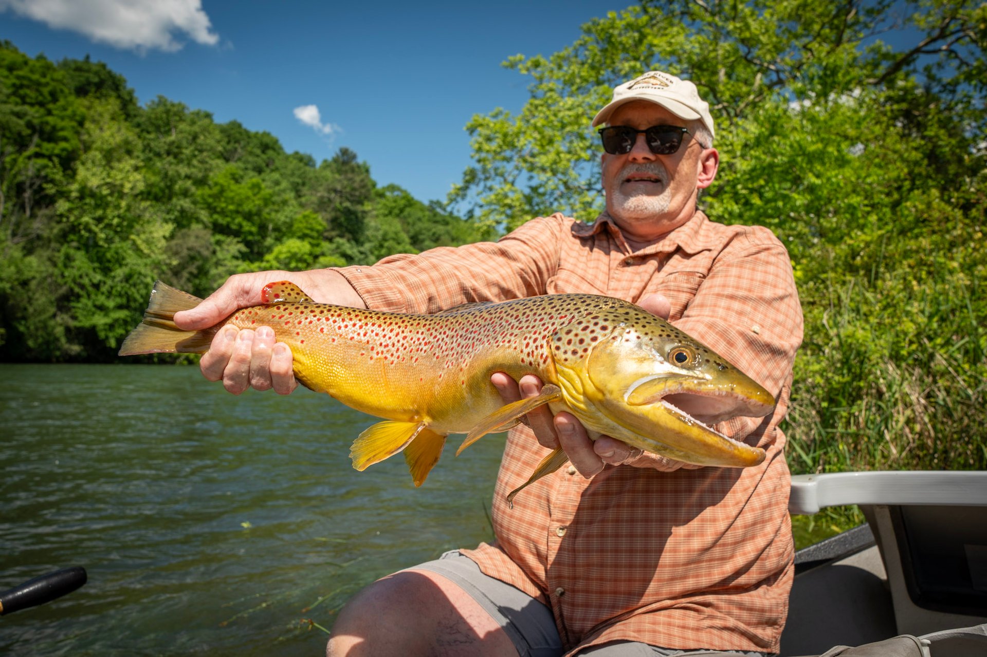 High water big brown trout on the South Holston River