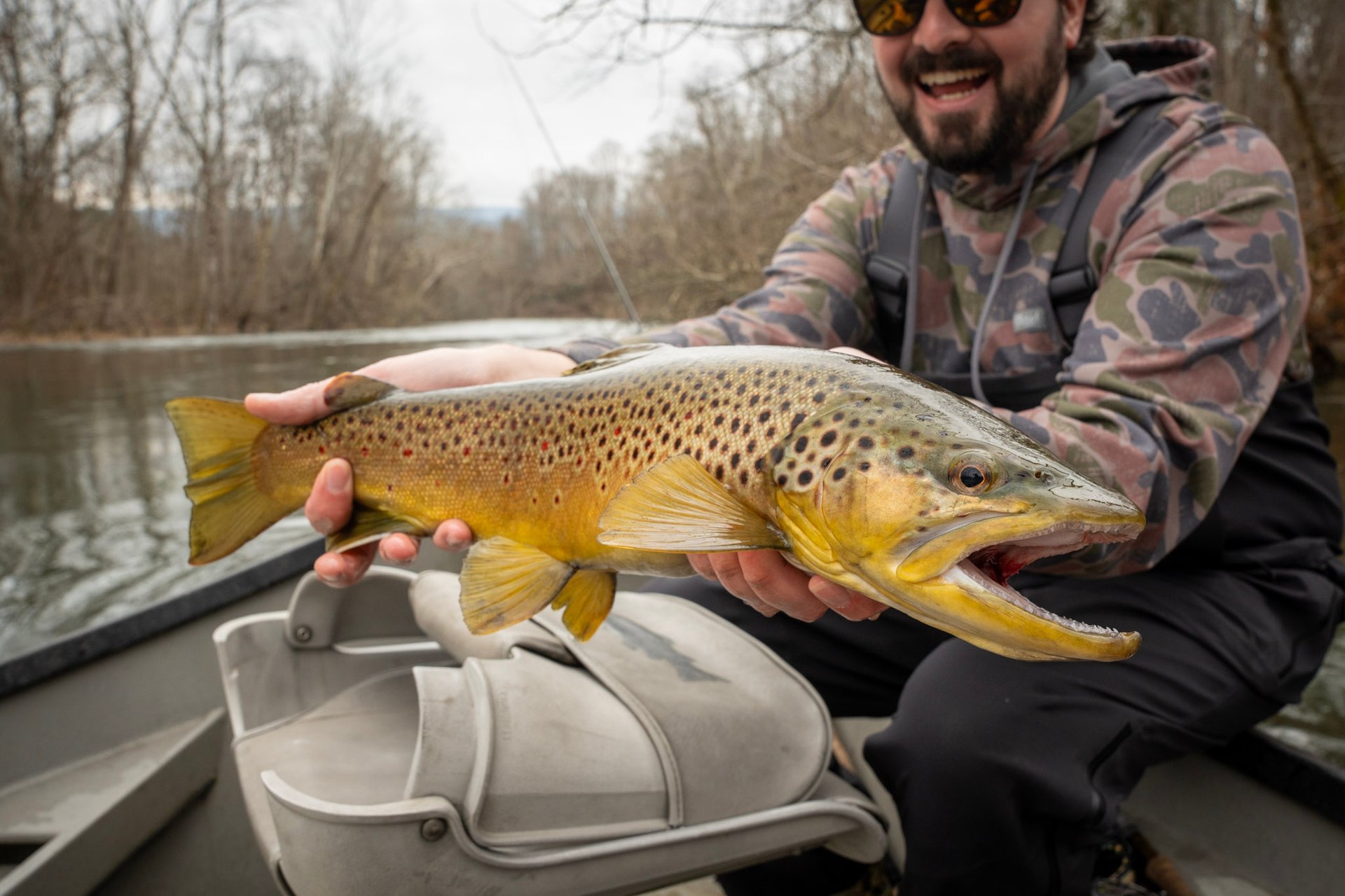 Streamer fishing Tennessee