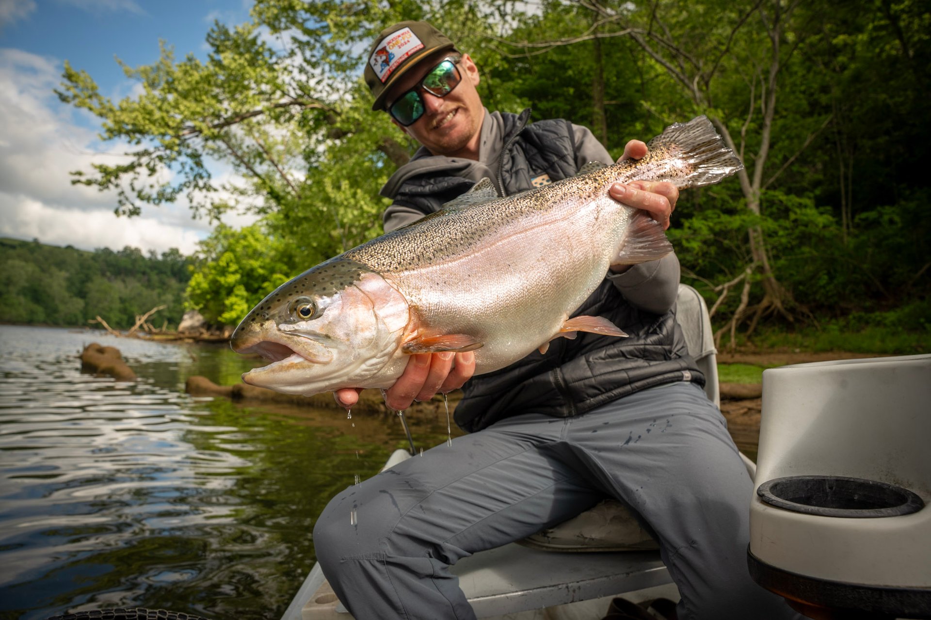 Fly Fish the South Holston River 