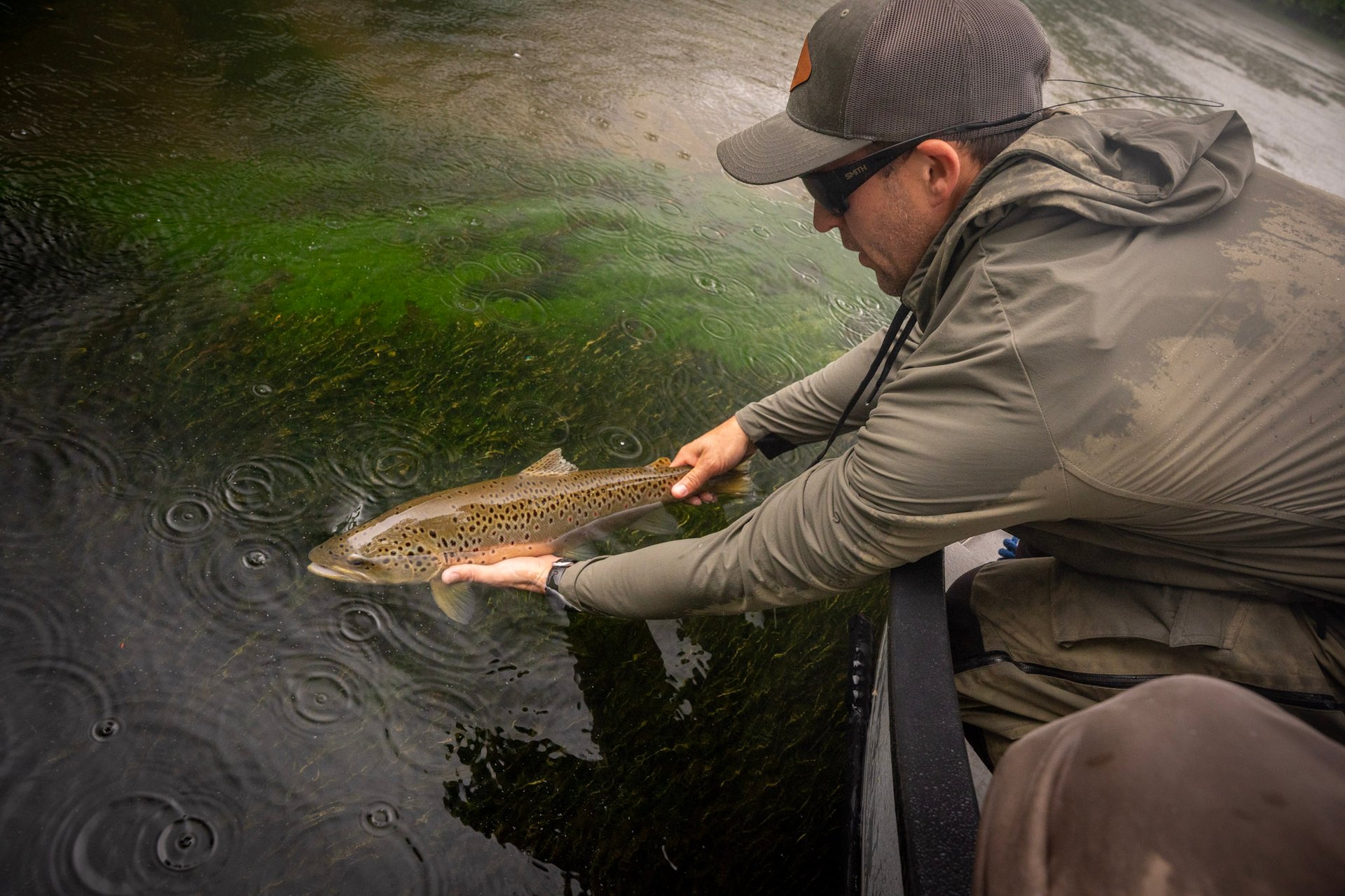 Wild brown trout in Tennessee