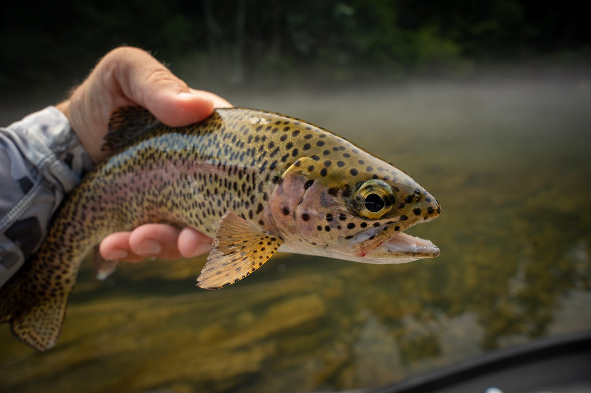 Head guide John Stunkard stands with Joe as they capture a new personal best brown trout.