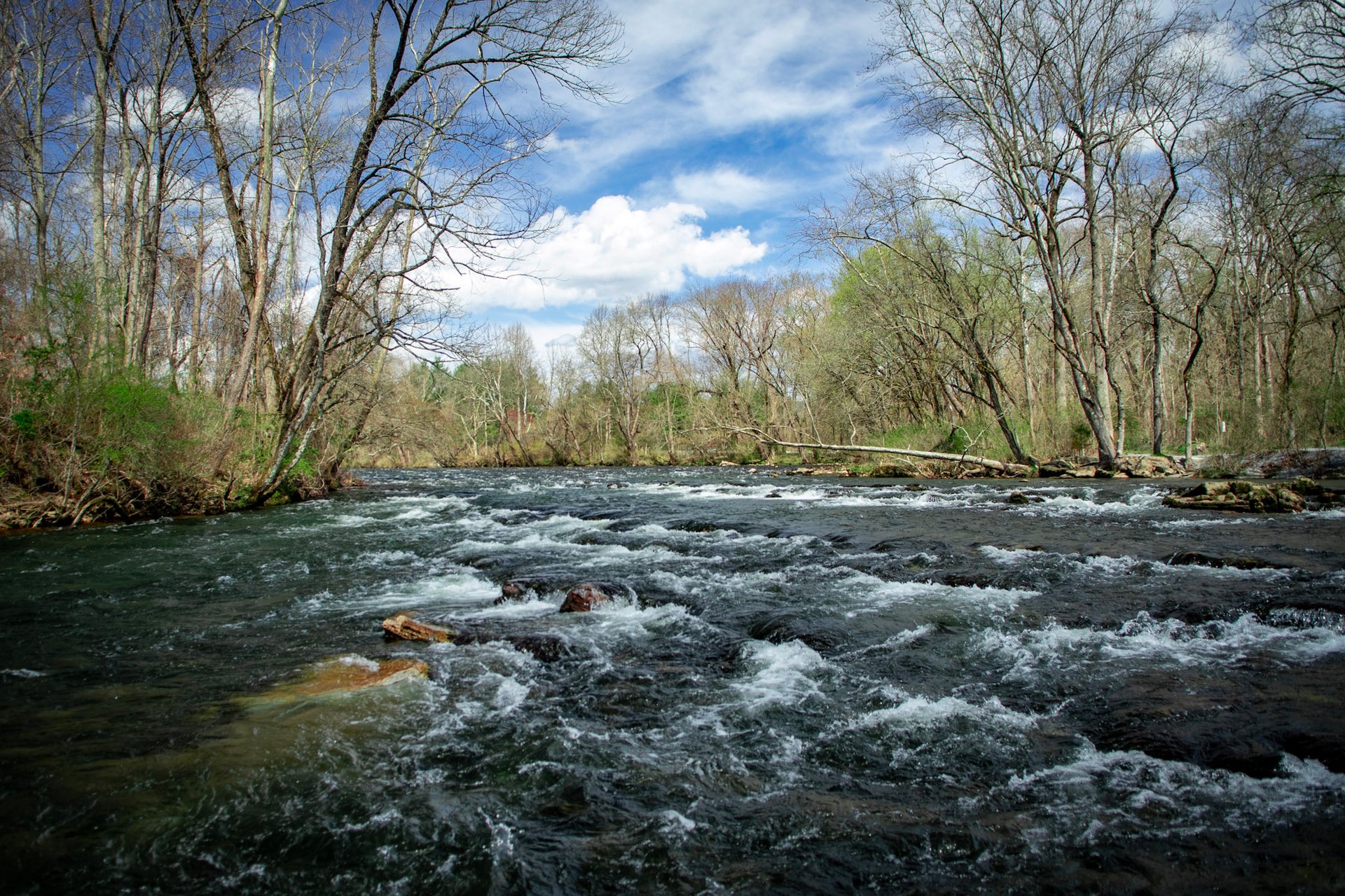 Watauga River at sycamore shoals, in Elizabethton TN