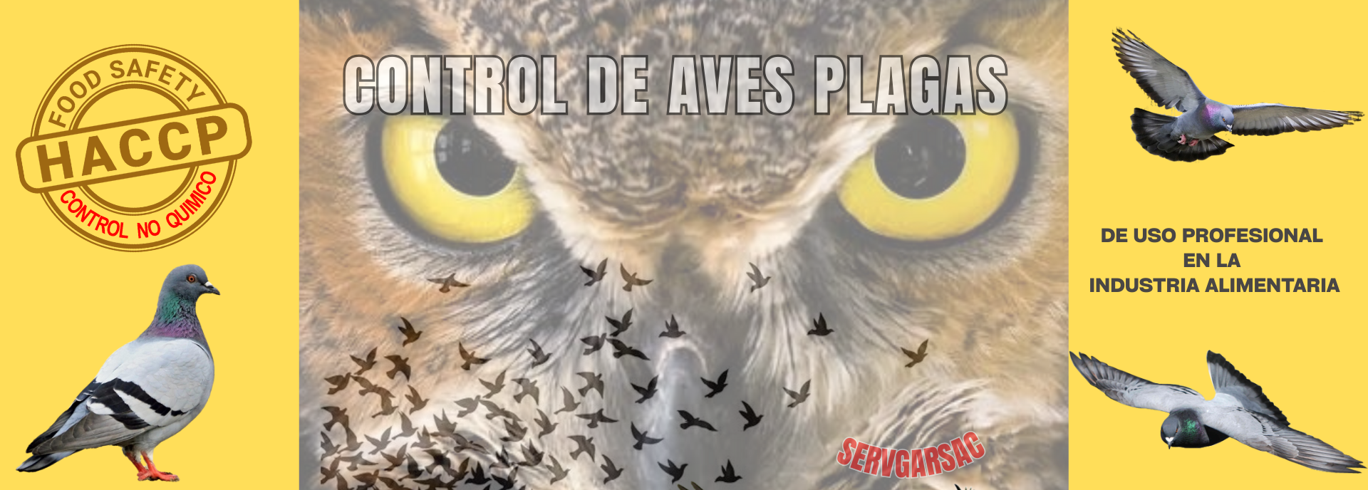 cometa_espanta_aves_paloma