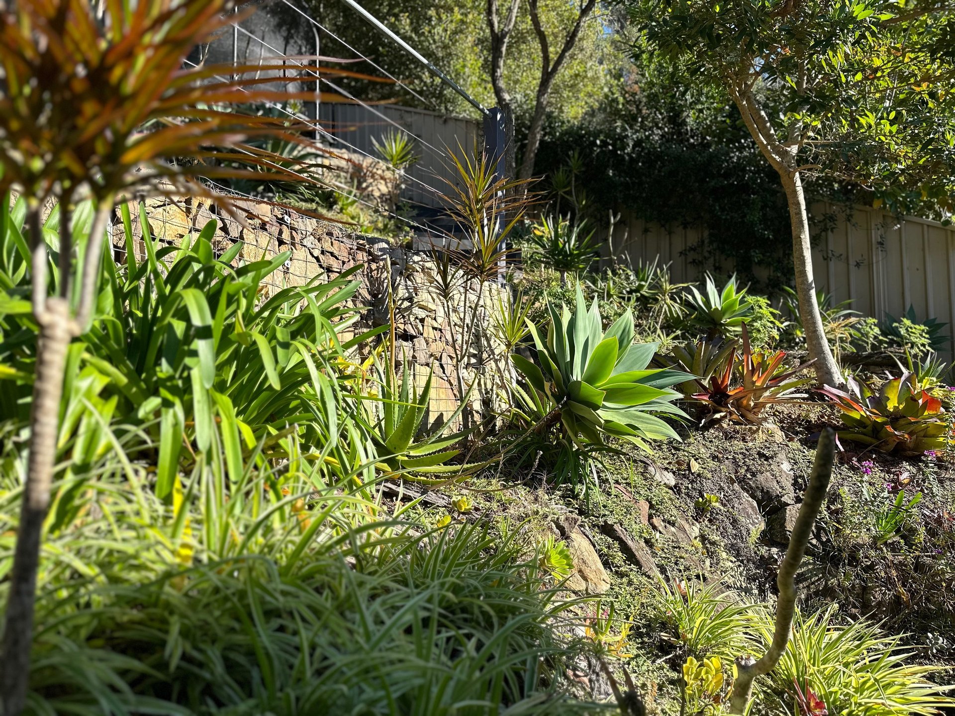 black and brown leather padded tub sofa