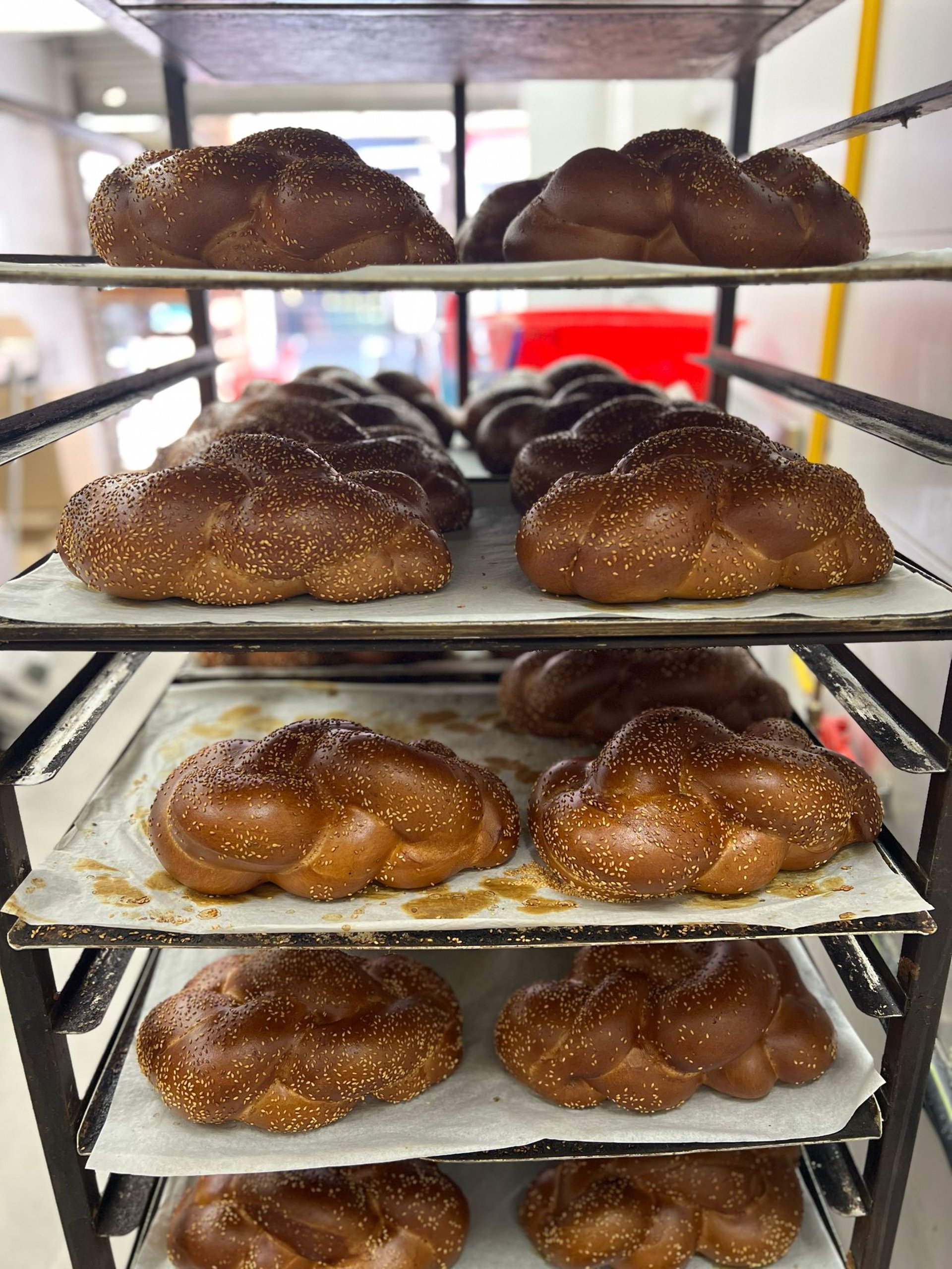 woman wearing yellow long-sleeved dress under white clouds and blue sky during daytime