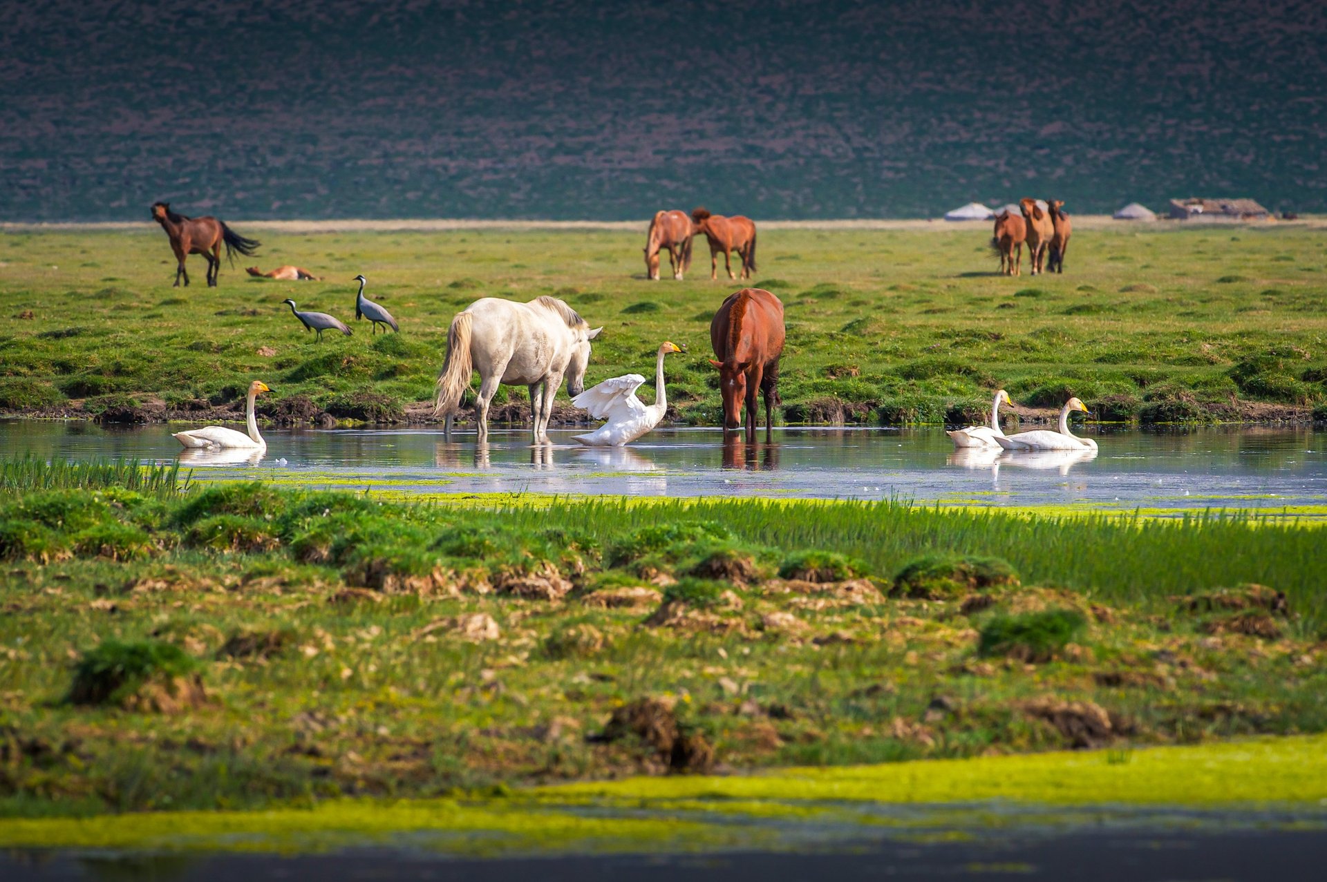 people sitting on grass field during daytime