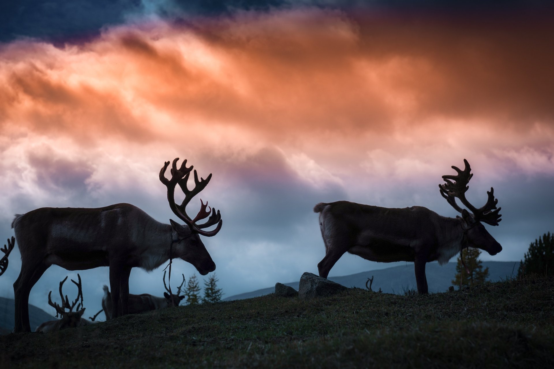 people sitting on grass field during daytime