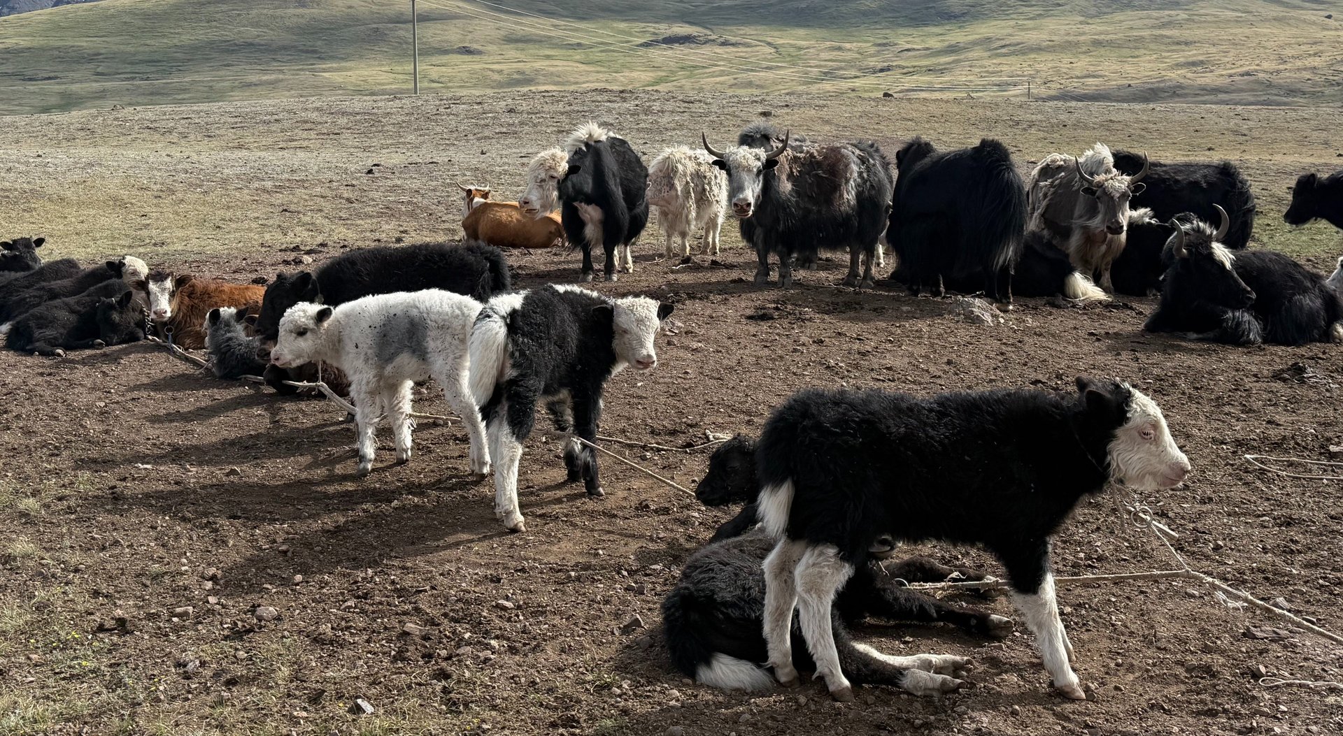 people sitting on grass field during daytime