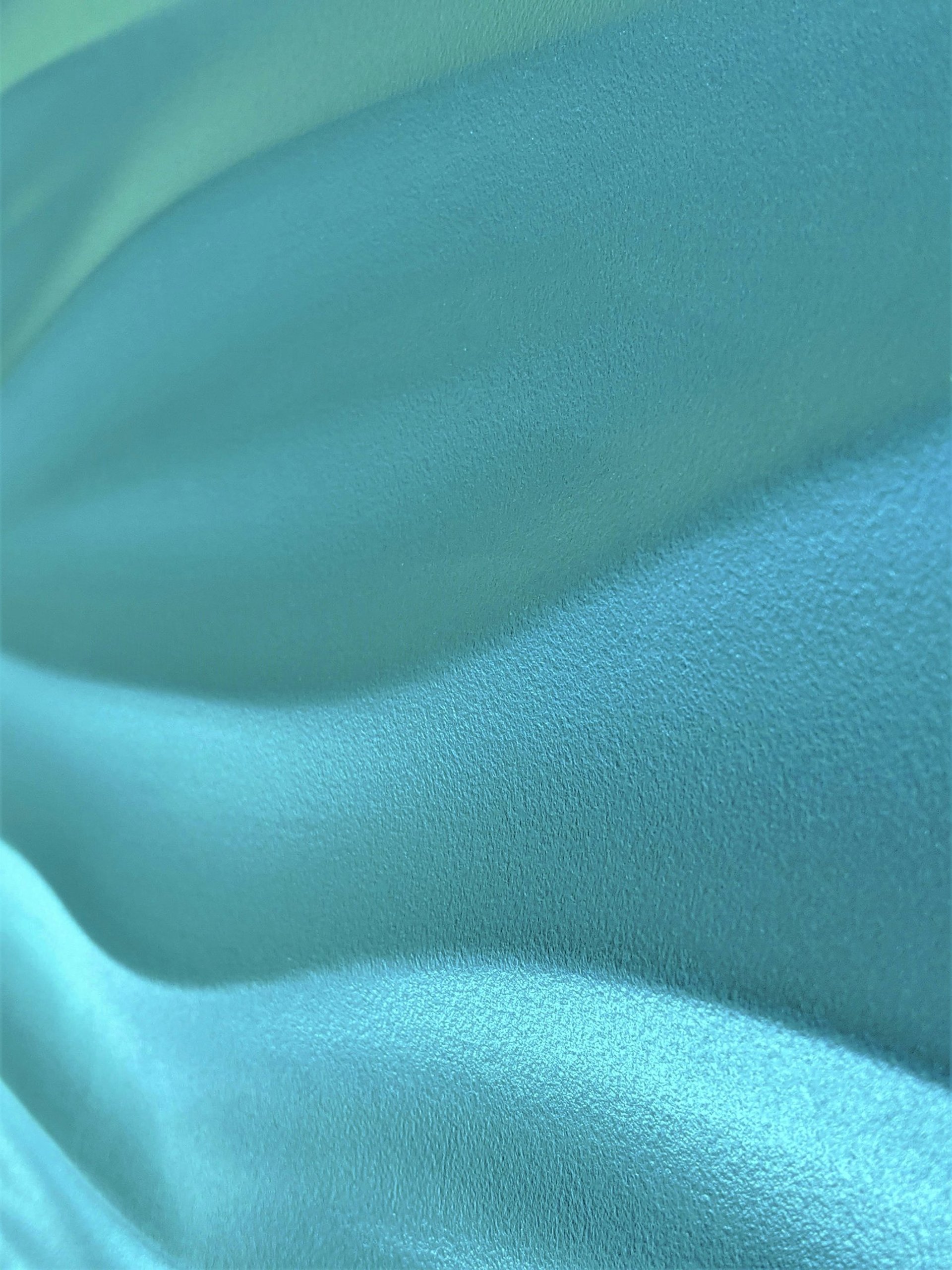 butterfly perched on petaled flower