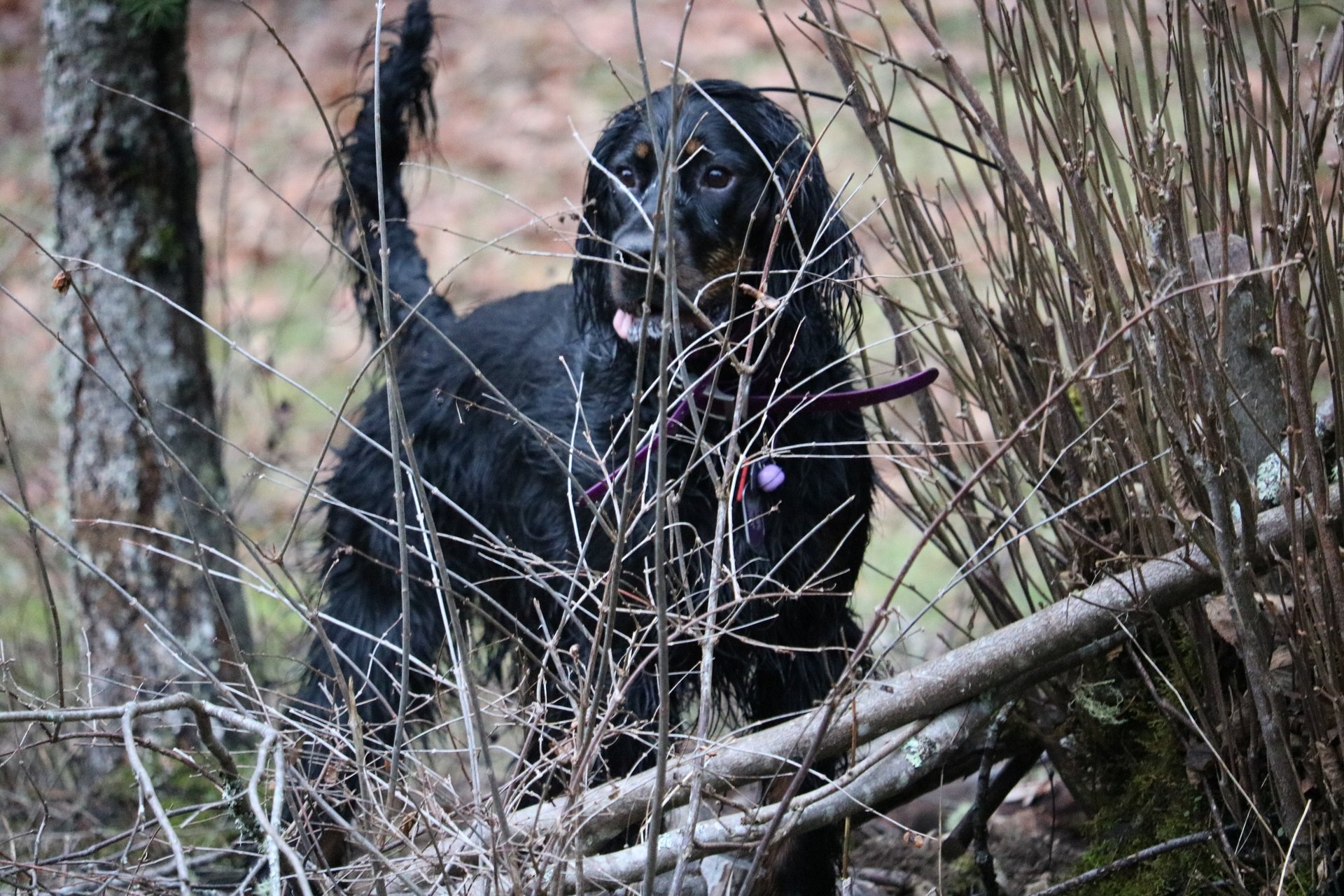 black and white bed linen