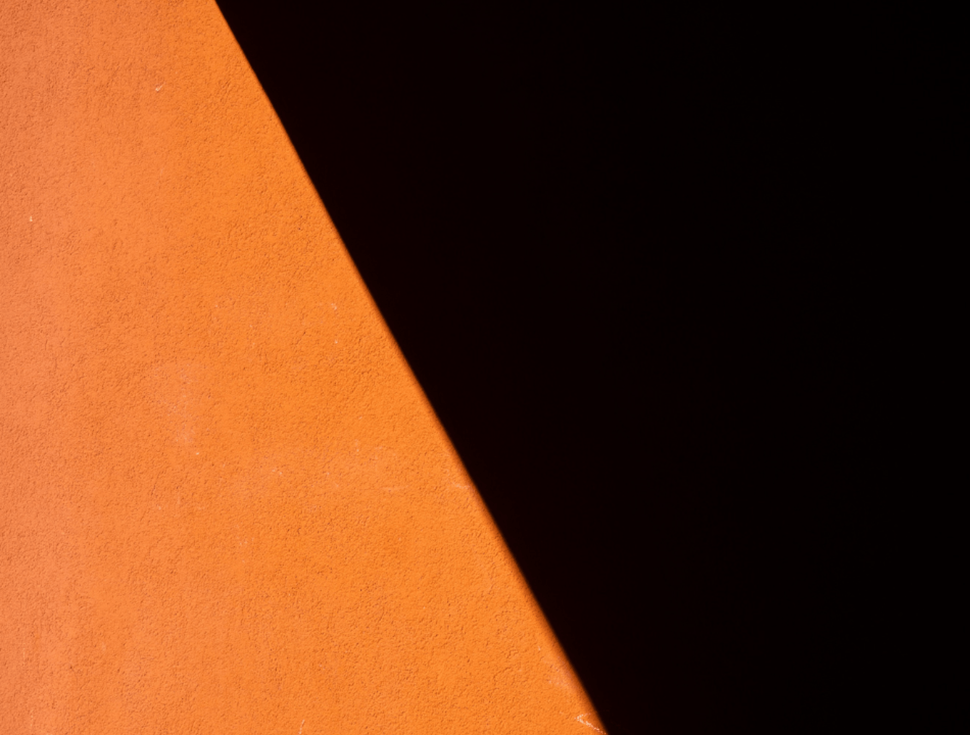 a close up of a palm tree with a window in the background