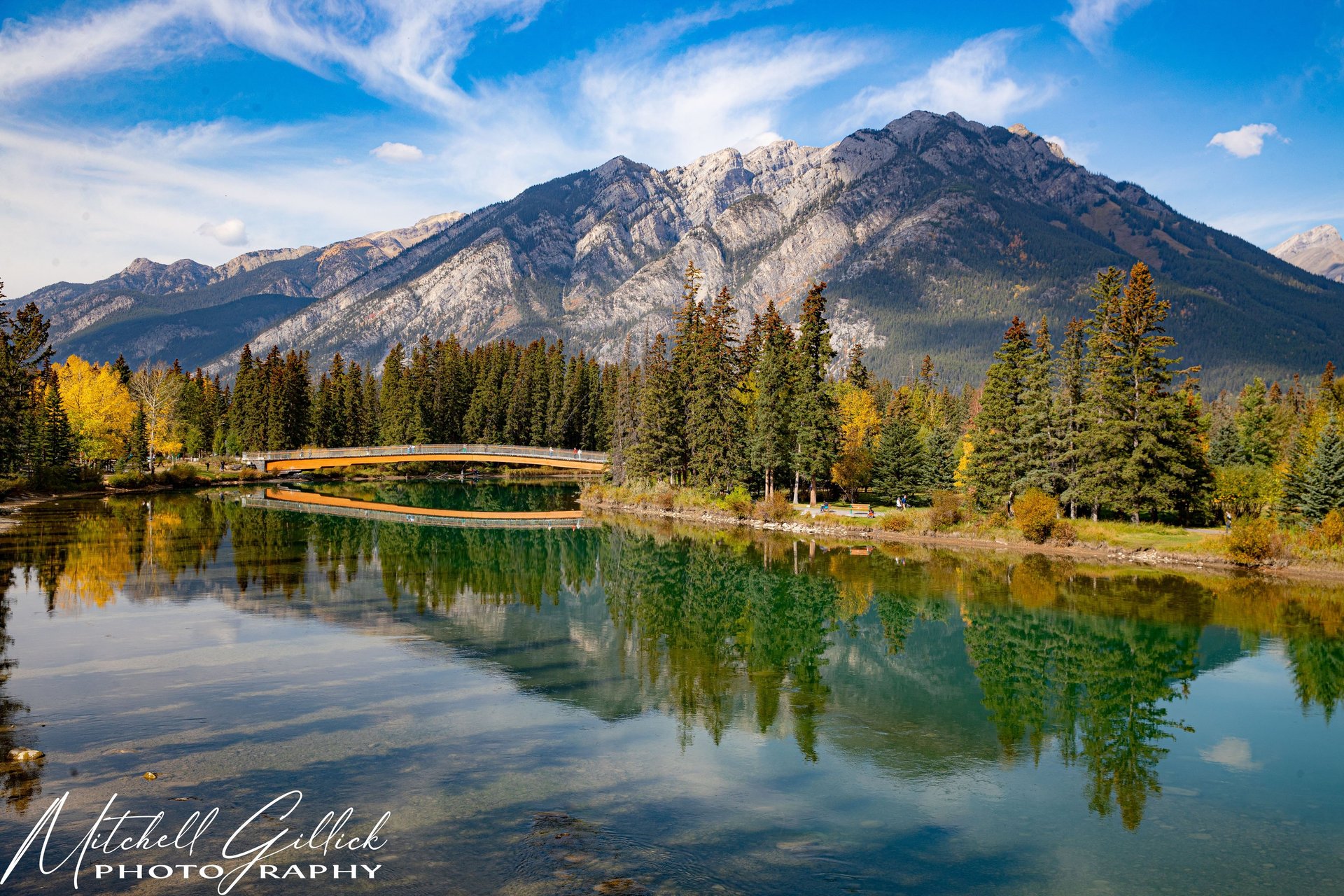gray computer monitor