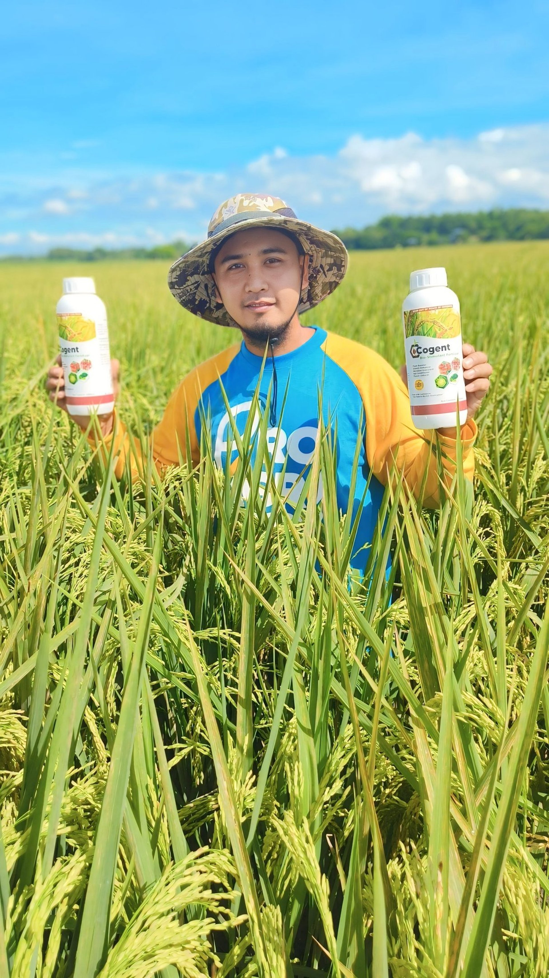 A close up of a field of green grass