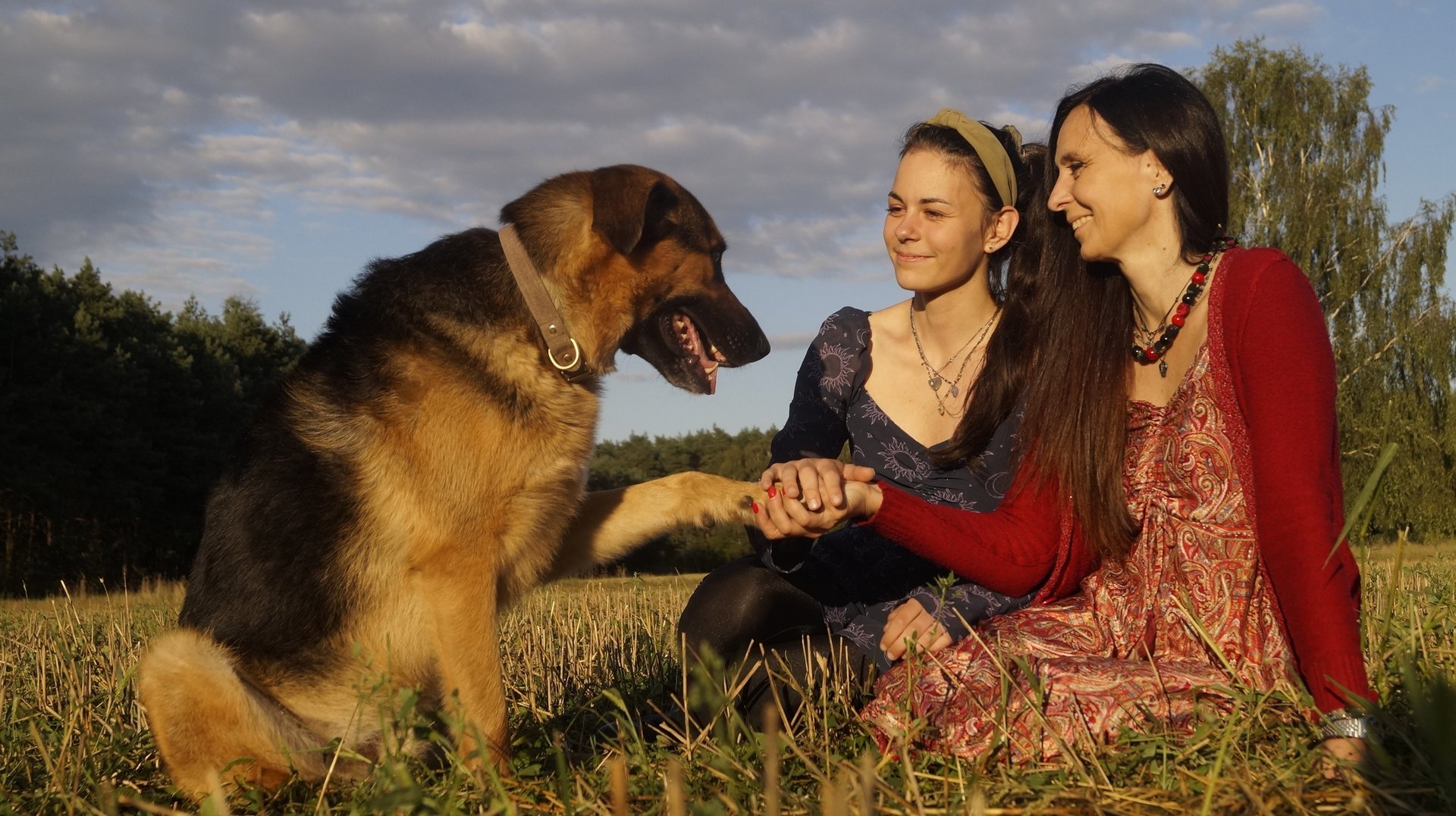 black and brown leather padded tub sofa