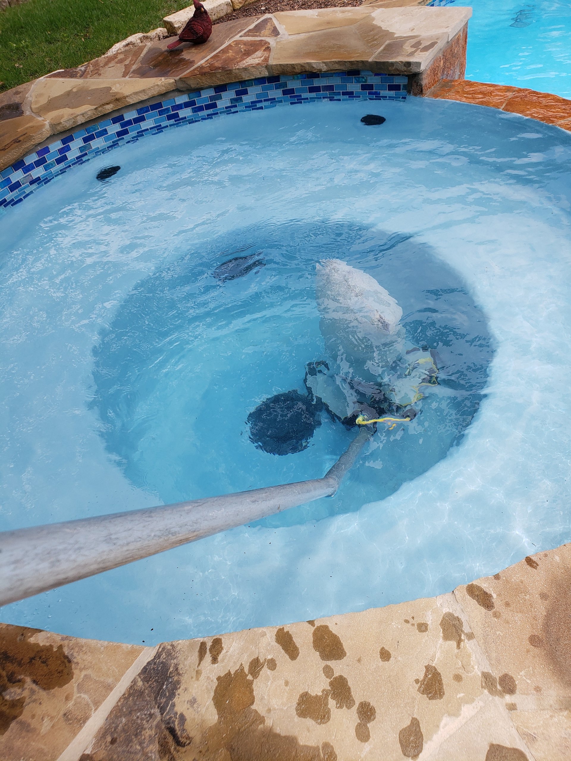 woman wearing yellow long-sleeved dress under white clouds and blue sky during daytime