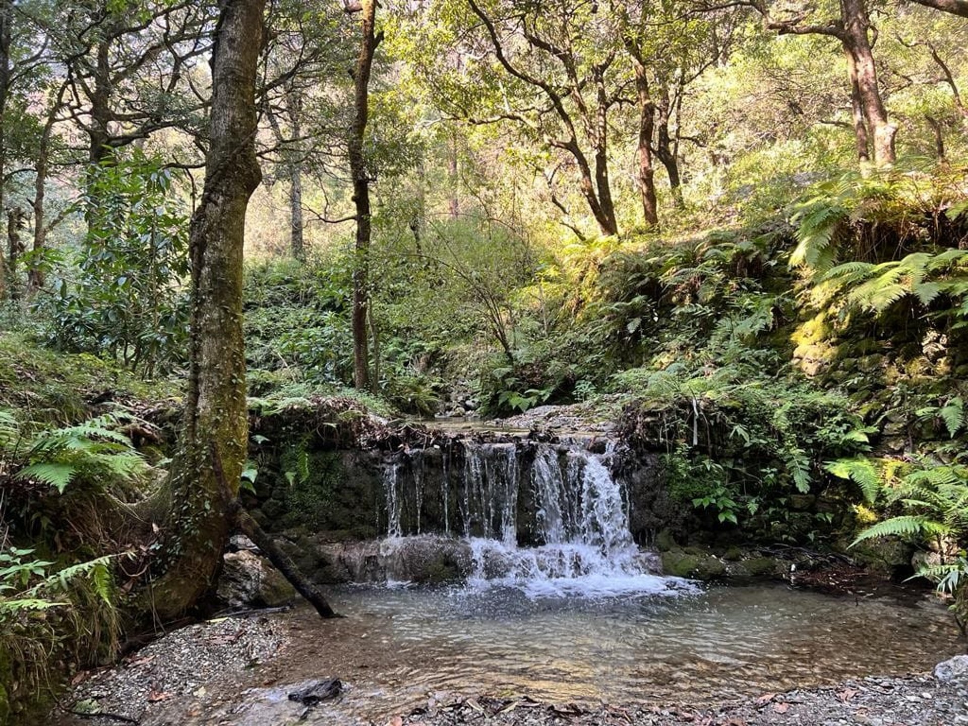 woman wearing yellow long-sleeved dress under white clouds and blue sky during daytime