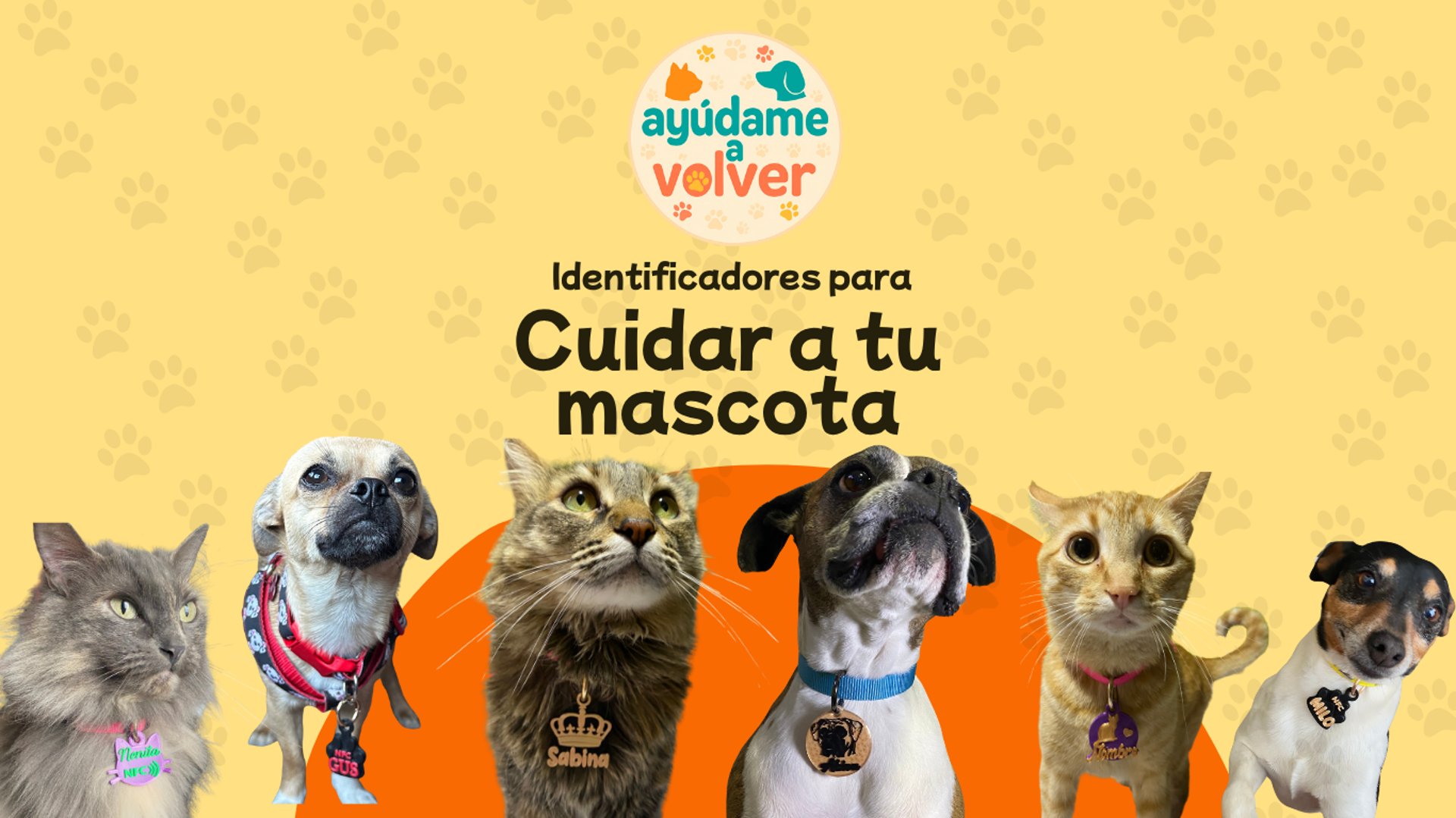 black and brown leather padded tub sofa