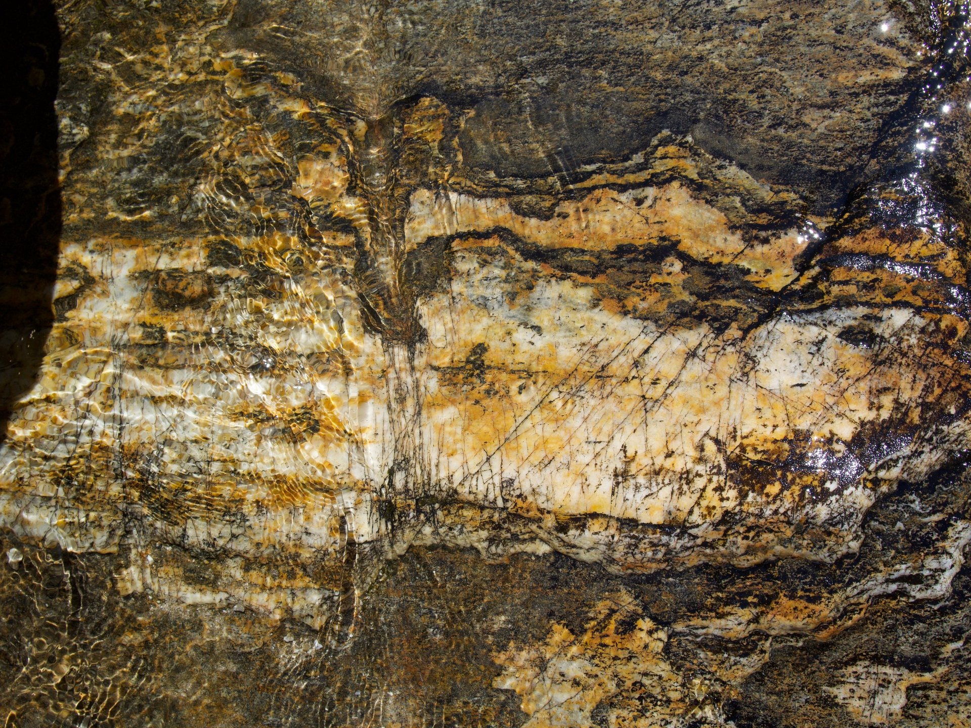 woman wearing yellow long-sleeved dress under white clouds and blue sky during daytime