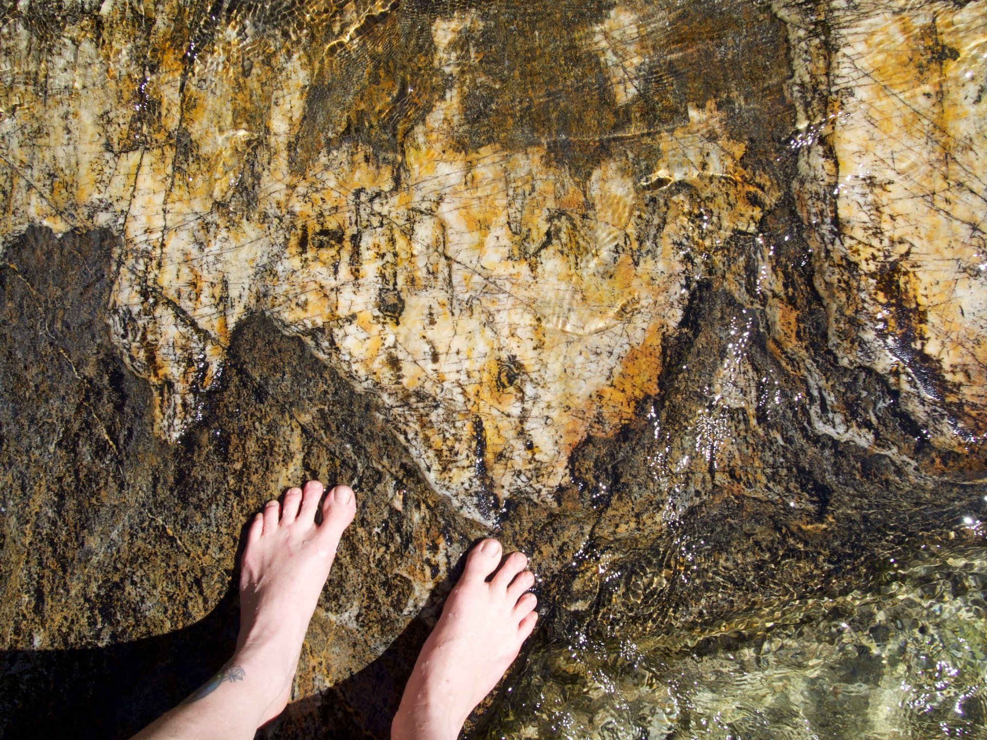 gray computer monitor