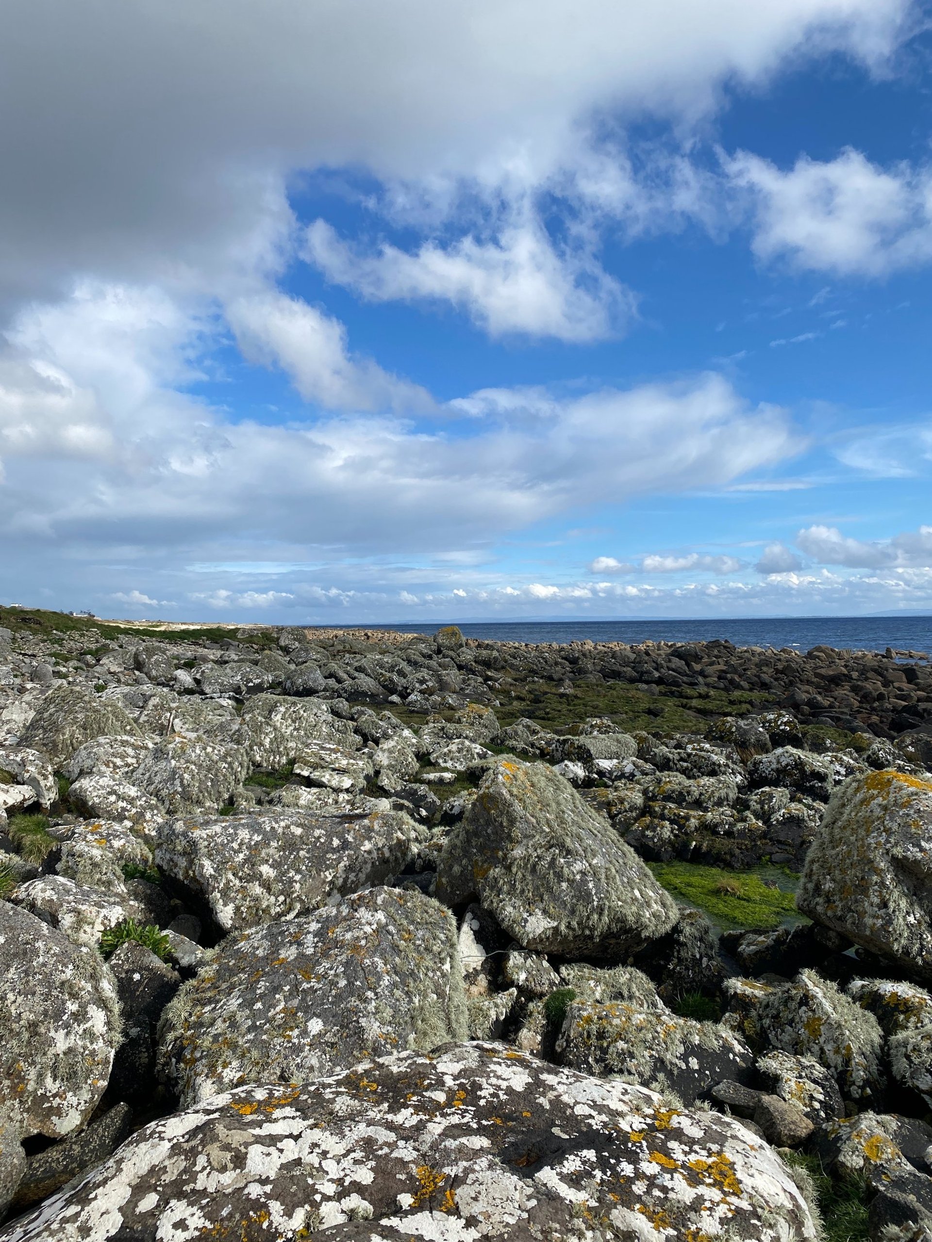 black blue and yellow textile