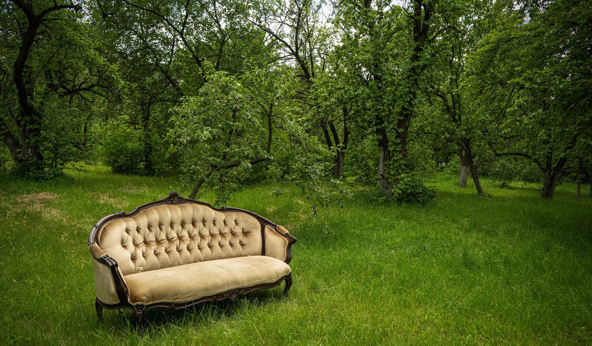 beige couch in the grass with trees