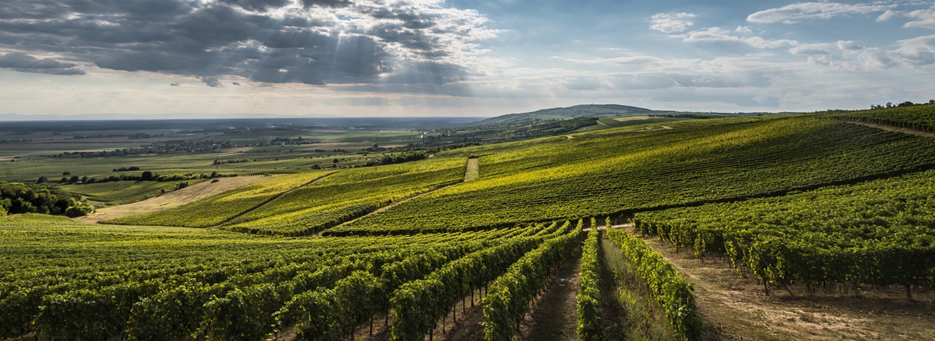 an abstract photo of a curved building with a blue sky in the background