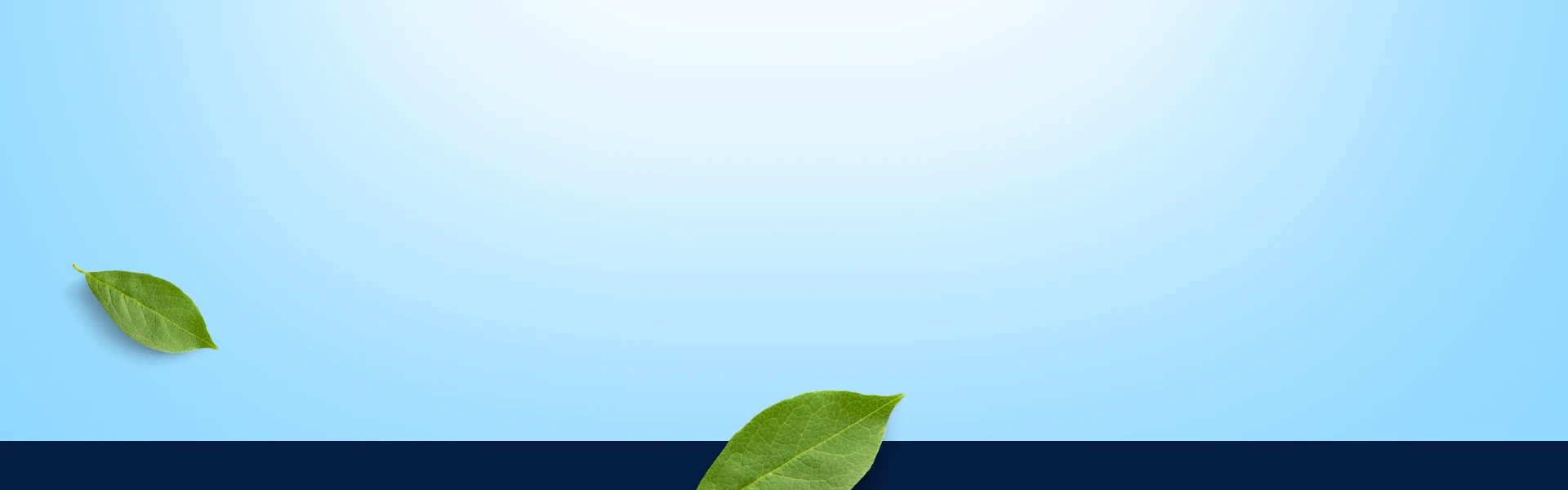 Light grey footer with dark grey section, no Allors Skin Care branding for skincare & luxury perfumes.