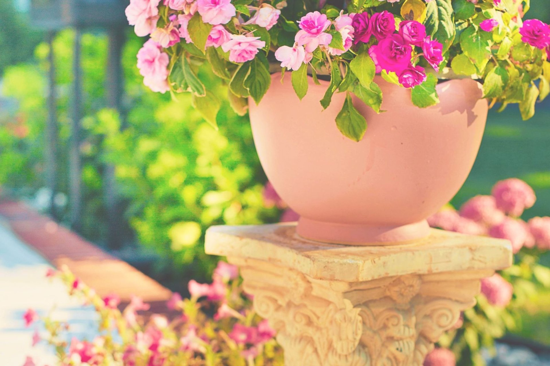 a book sitting on top of a bed next to a flower