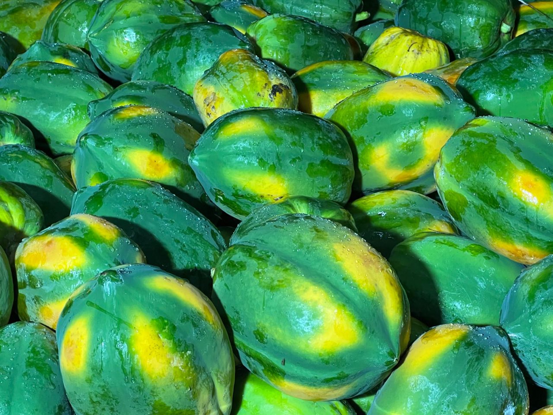 woman wearing yellow long-sleeved dress under white clouds and blue sky during daytime