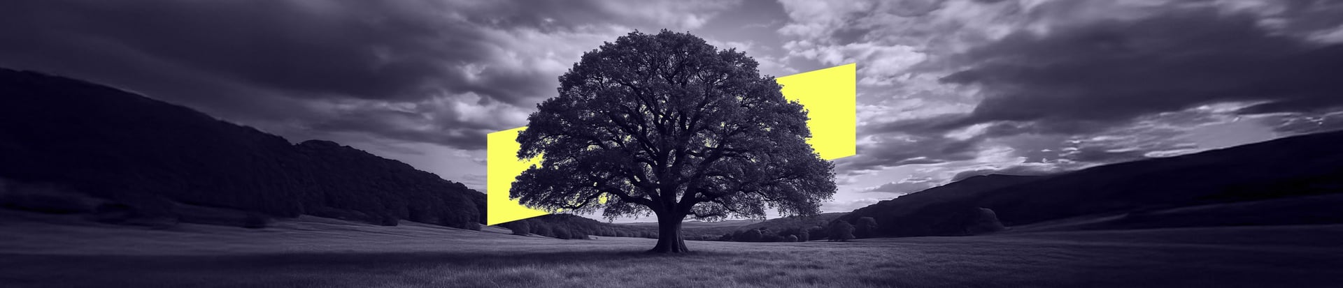 A large, strong tree stands in an open field beneath a dramatic sky, with a bright yellow background element behind it.