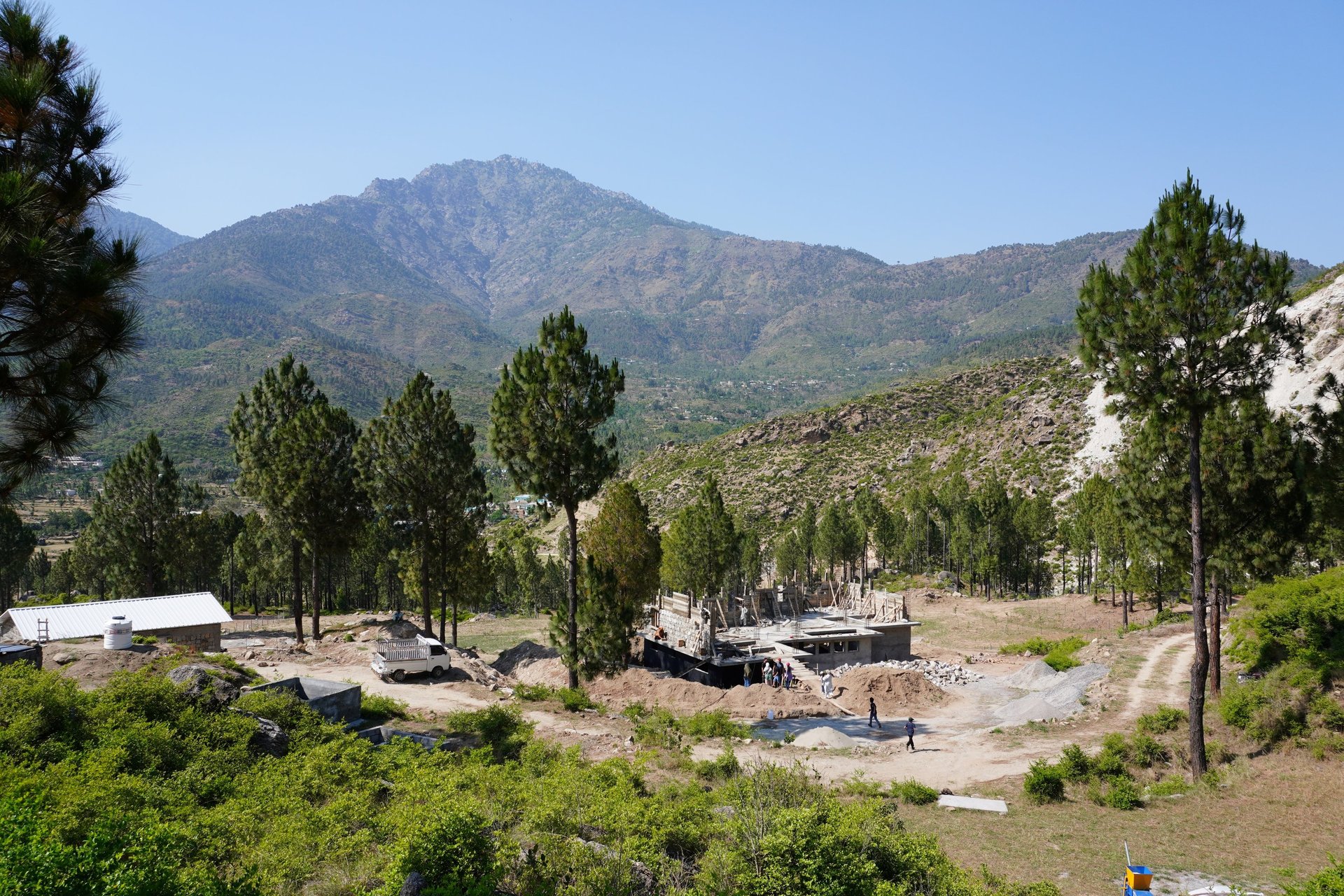 black and white bed linen