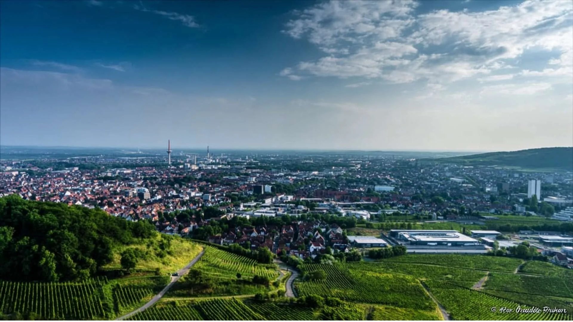 Blick vom Kappelberg über die Weinberge auf das Stadtgebiet von Fellbach