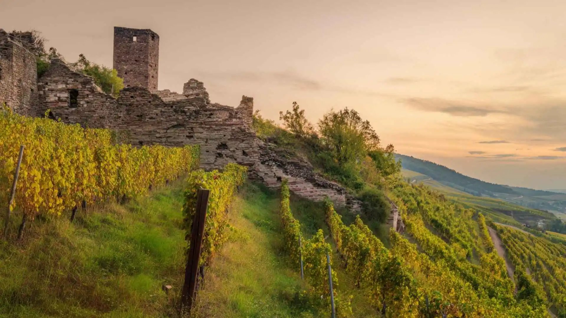 kernen im remstal, burgruine
