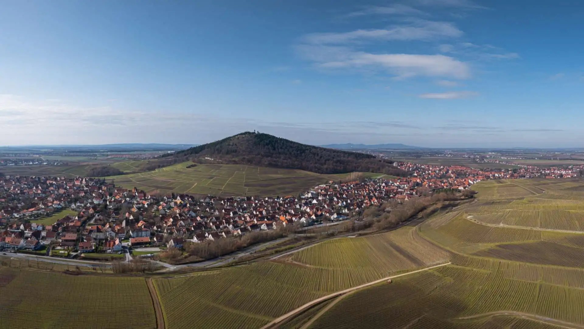 Blick auf Korb, Weinberge