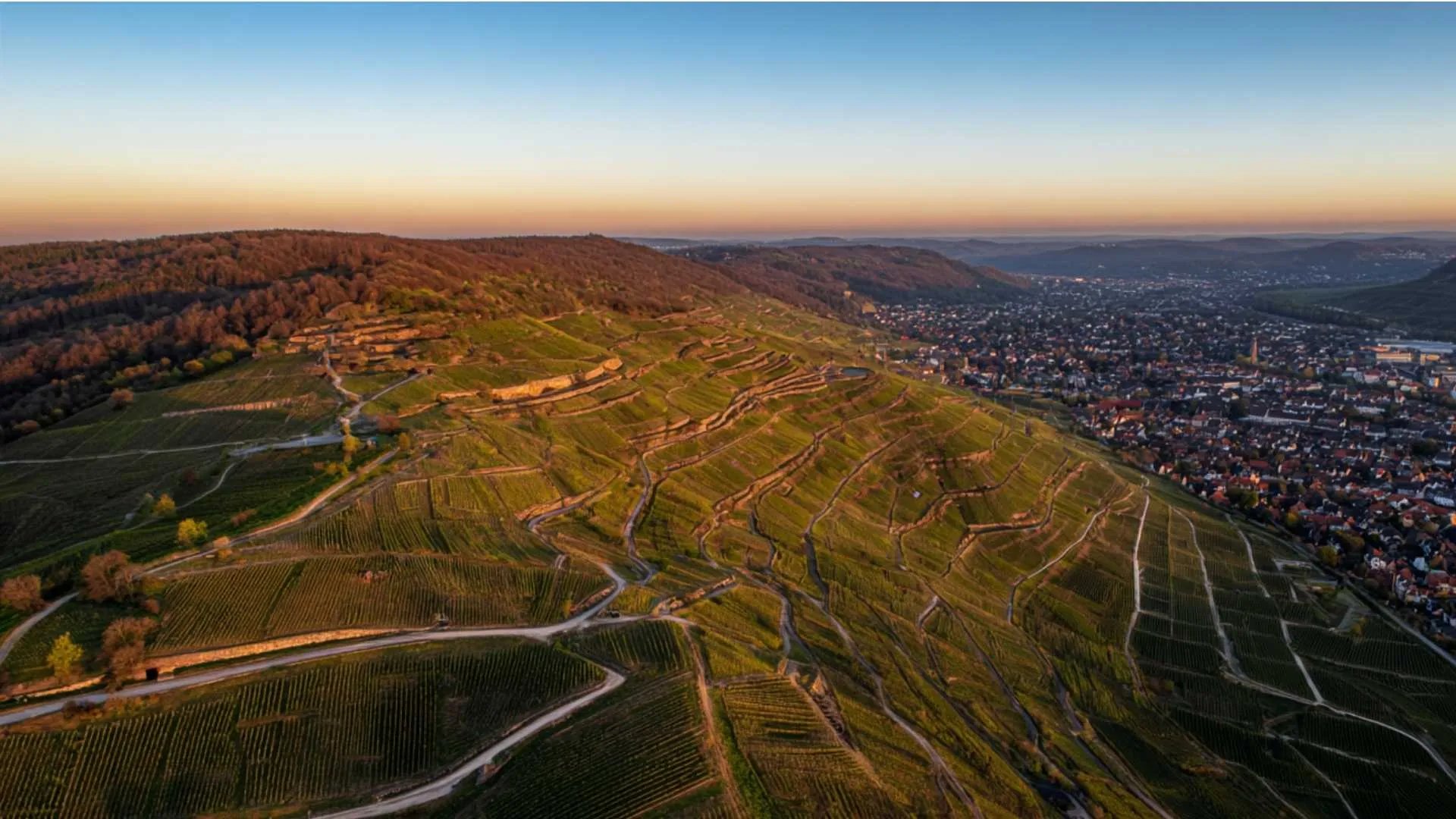Panorama-Aufnahme der Weinberge in 71384 Weinstadt im Remstal bei Sonnenuntergang
