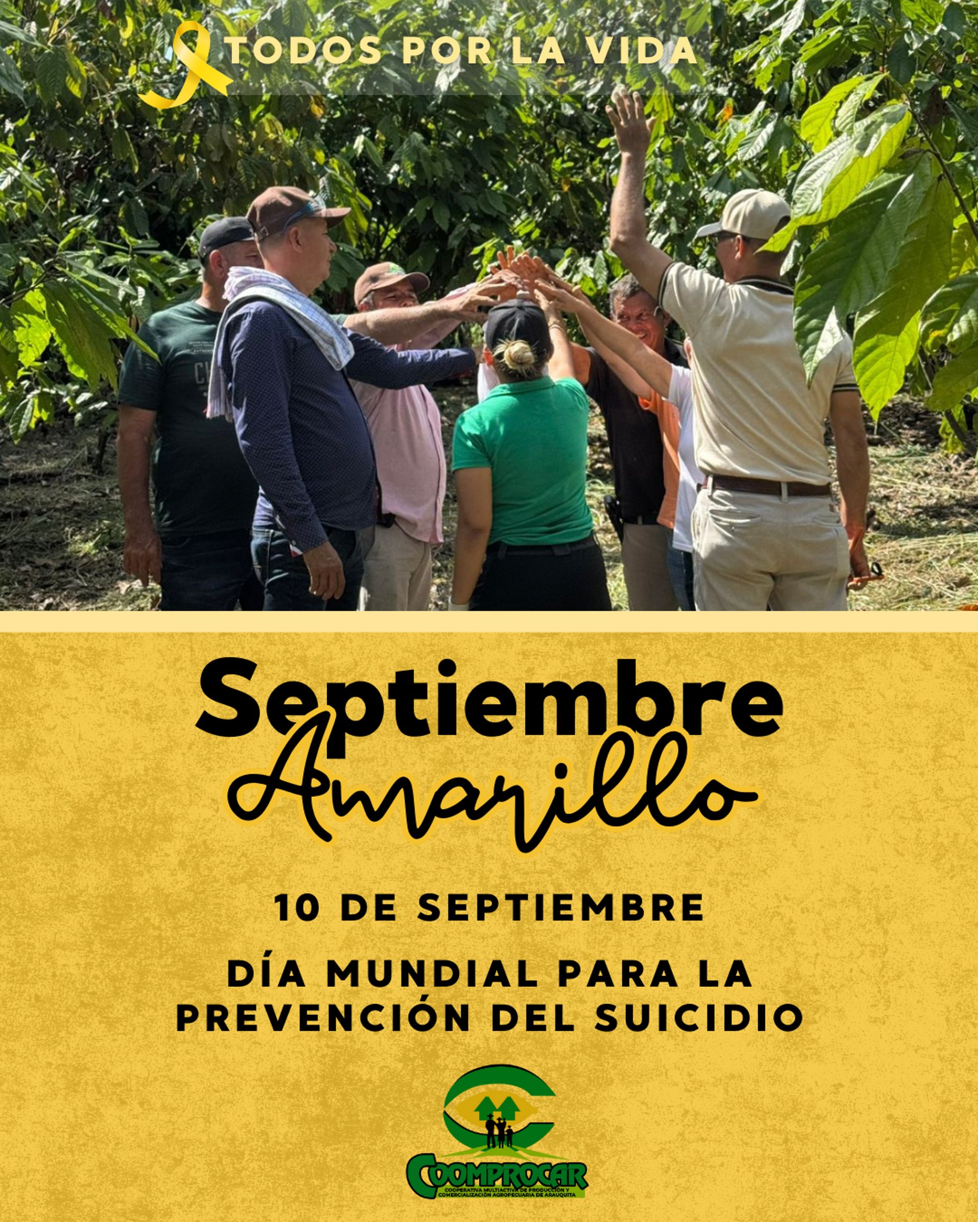 black and brown leather padded tub sofa