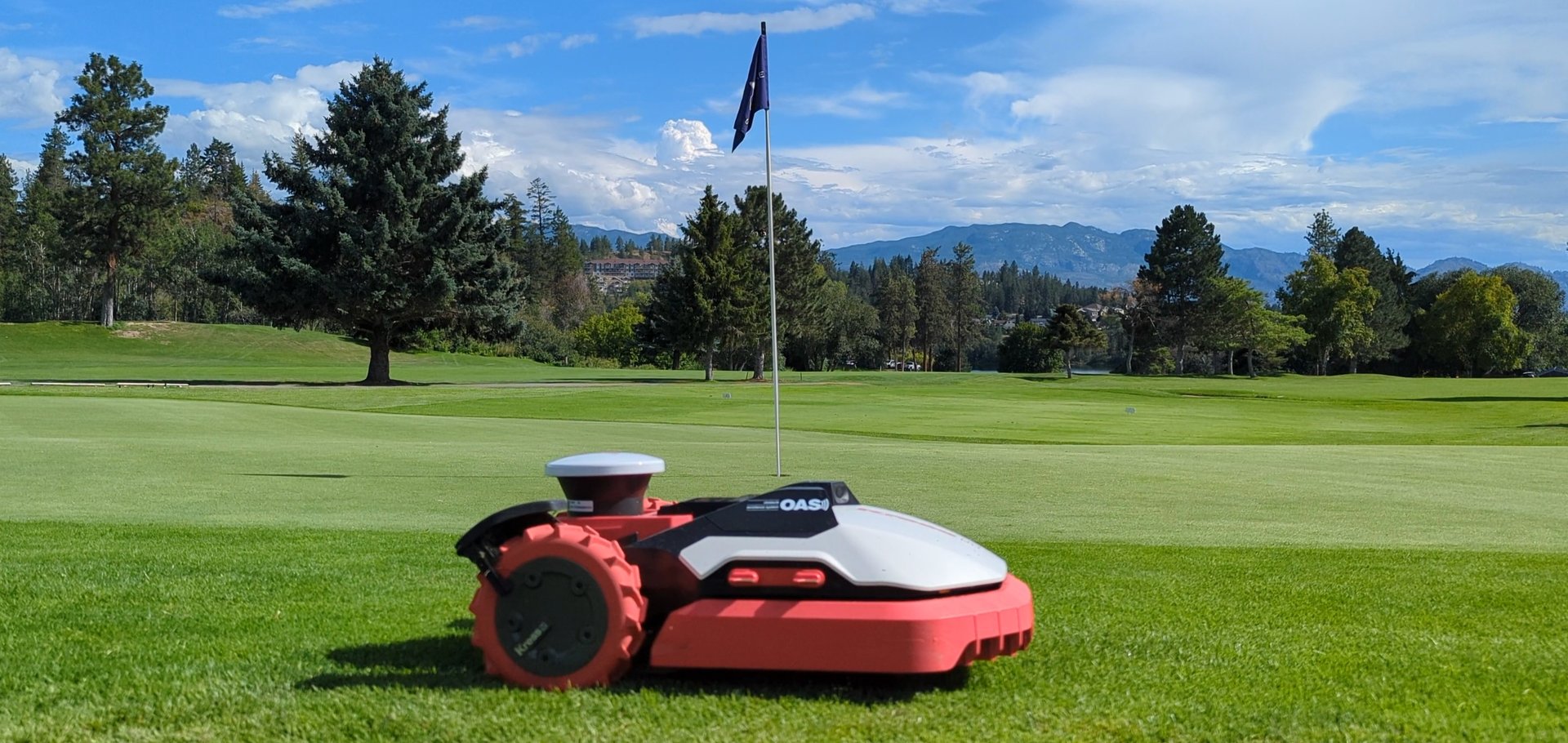 black and brown leather padded tub sofa