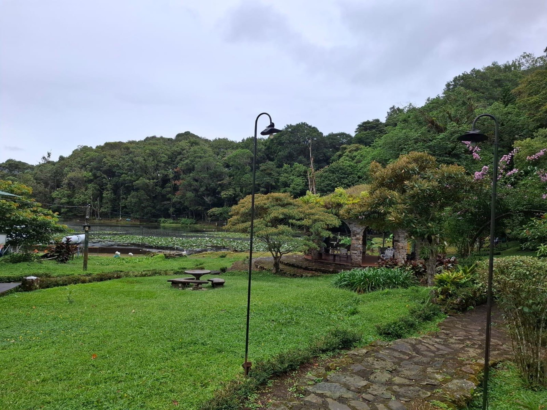 black blue and yellow textile